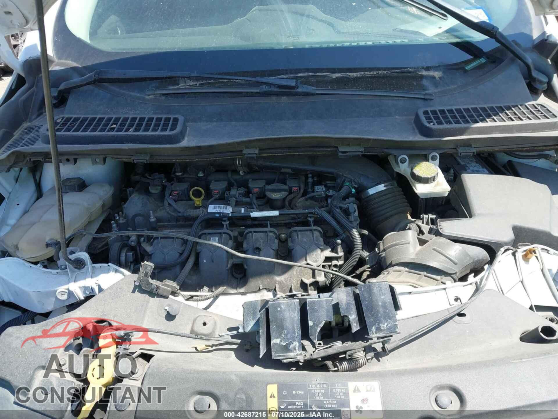 FORD ESCAPE 2016 - 1FMCU0G98GUC78732