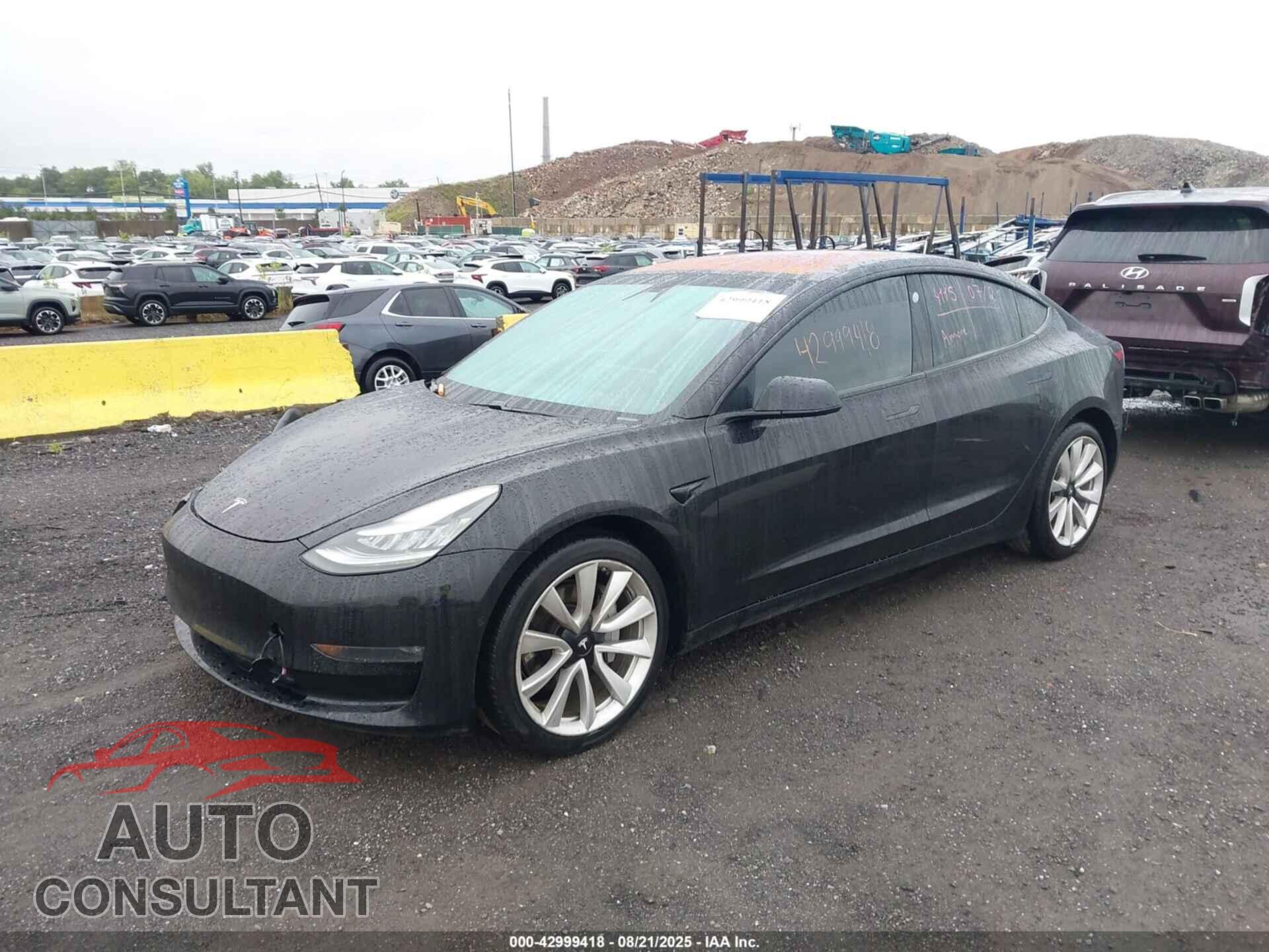 TESLA MODEL 3 2019 - 5YJ3E1EA1KF300494