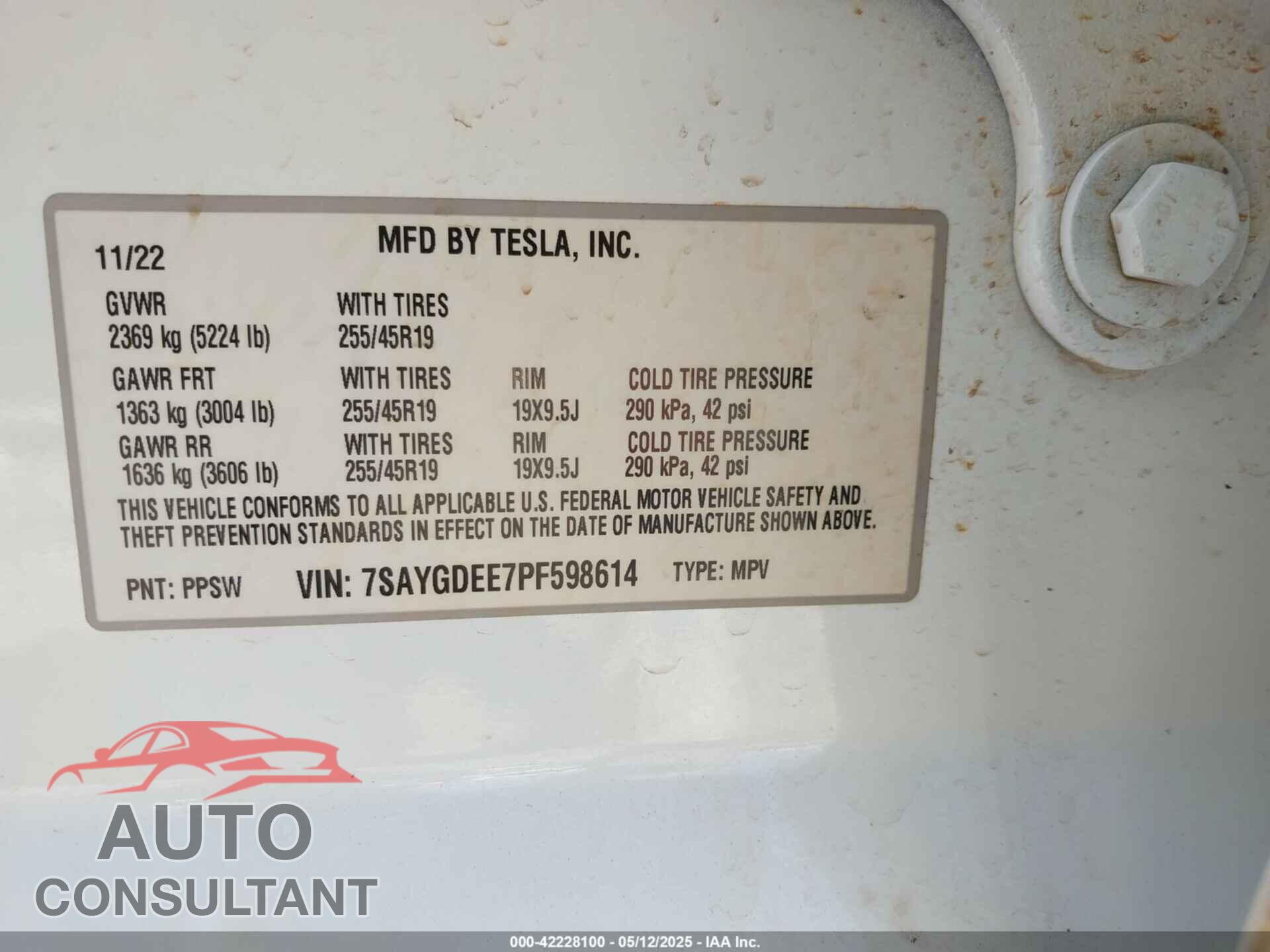 TESLA MODEL Y 2023 - 7SAYGDEE7PF598614