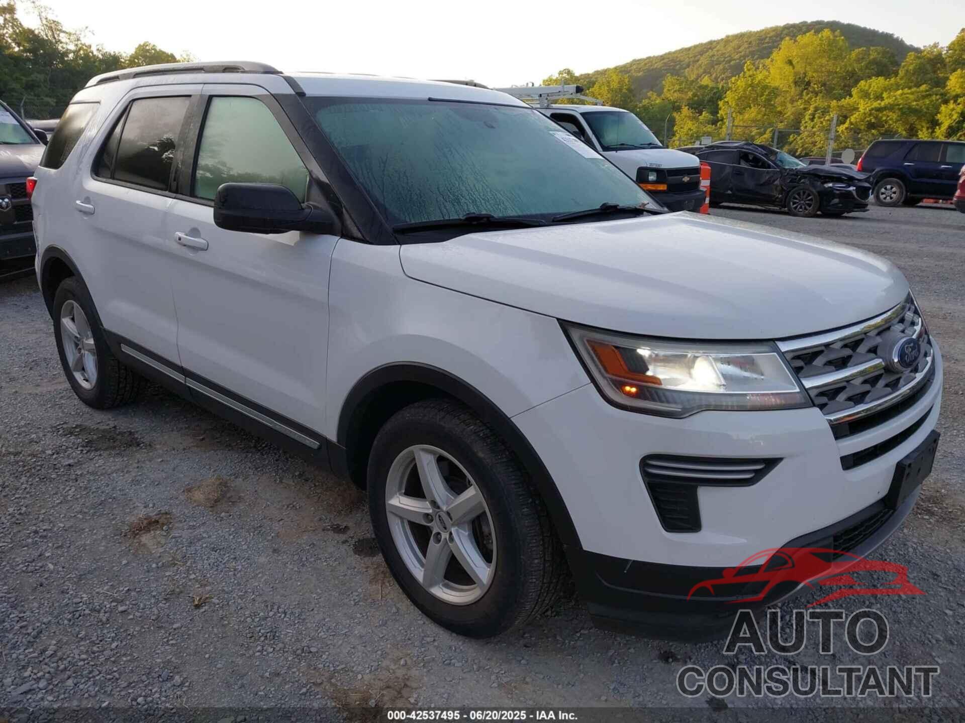 FORD EXPLORER 2019 - 1FM5K7D81KGB15947