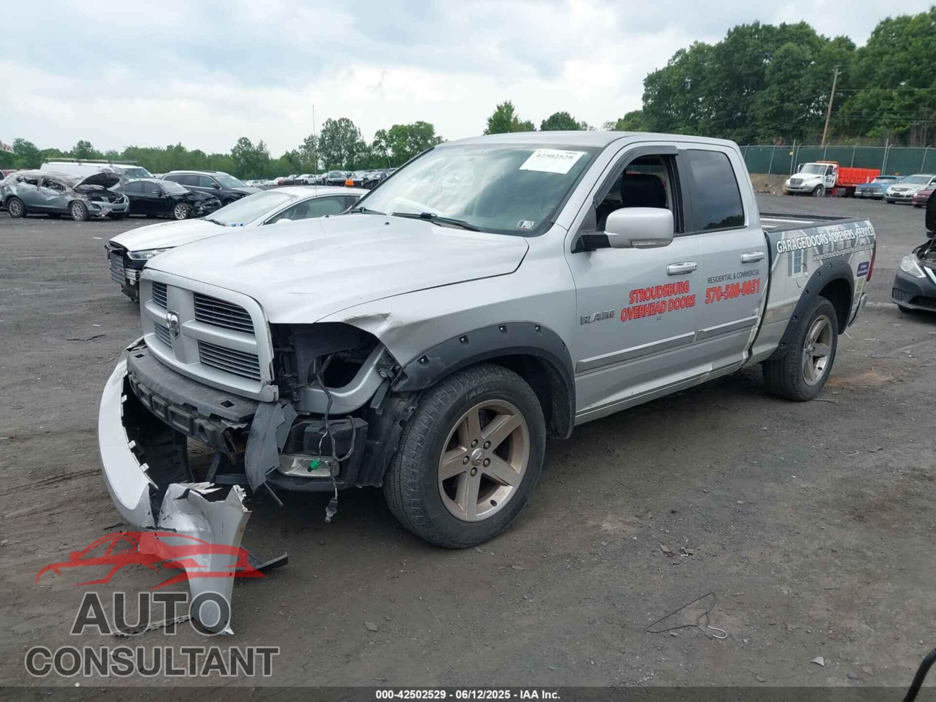 DODGE RAM 1500 2010 - 1D7RV1GT4AS239058