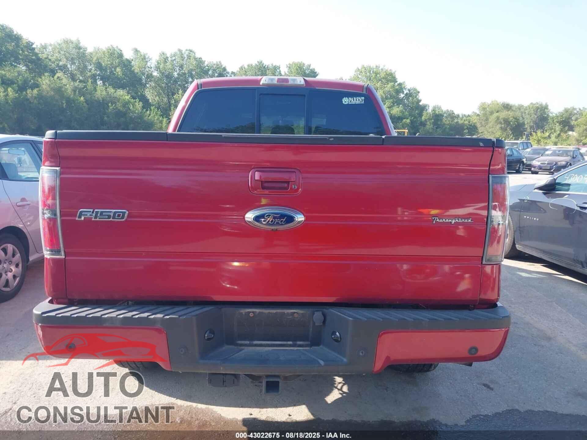 FORD F-150 2013 - 1FTFW1ET1DKE03237