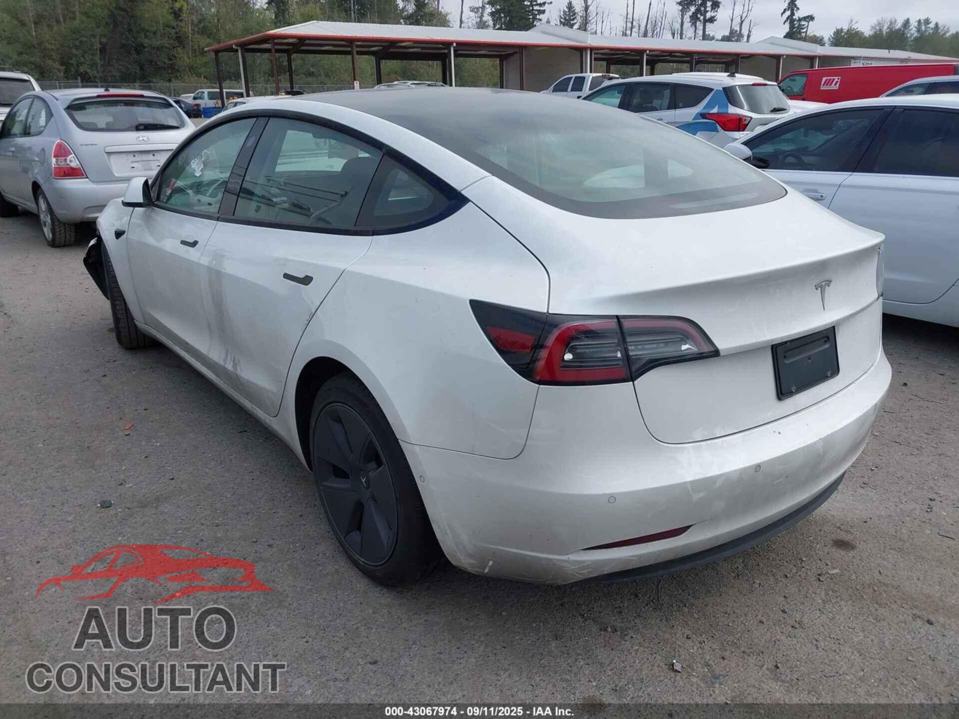 TESLA MODEL 3 2021 - 5YJ3E1EA5MF051636