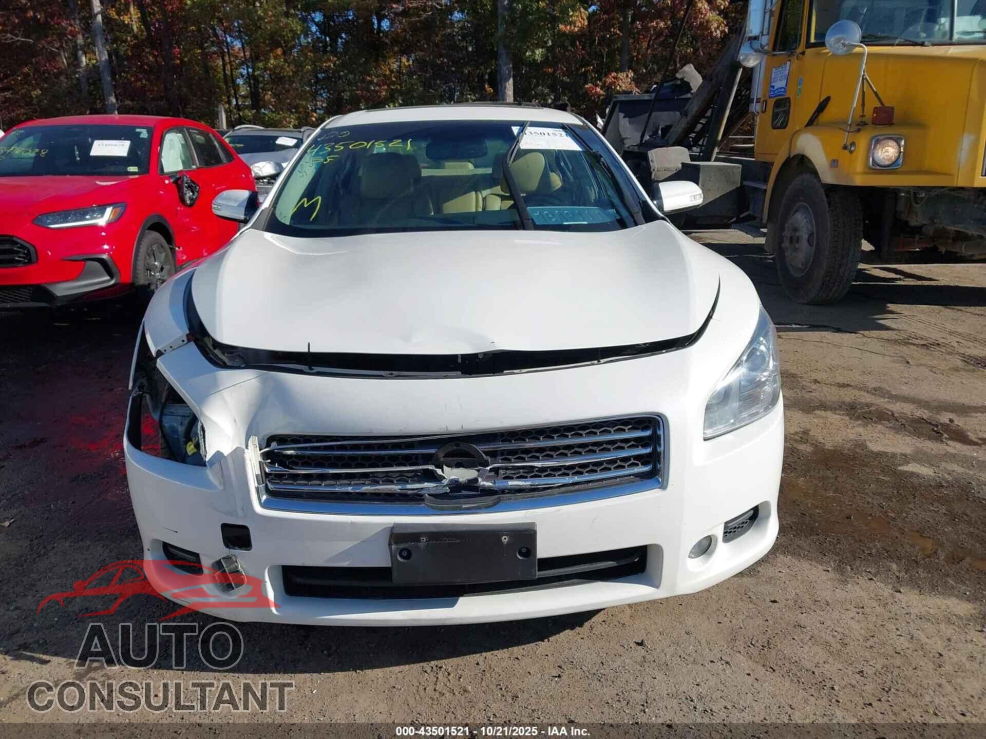 NISSAN MAXIMA 2009 - 1N4AA51E29C828397