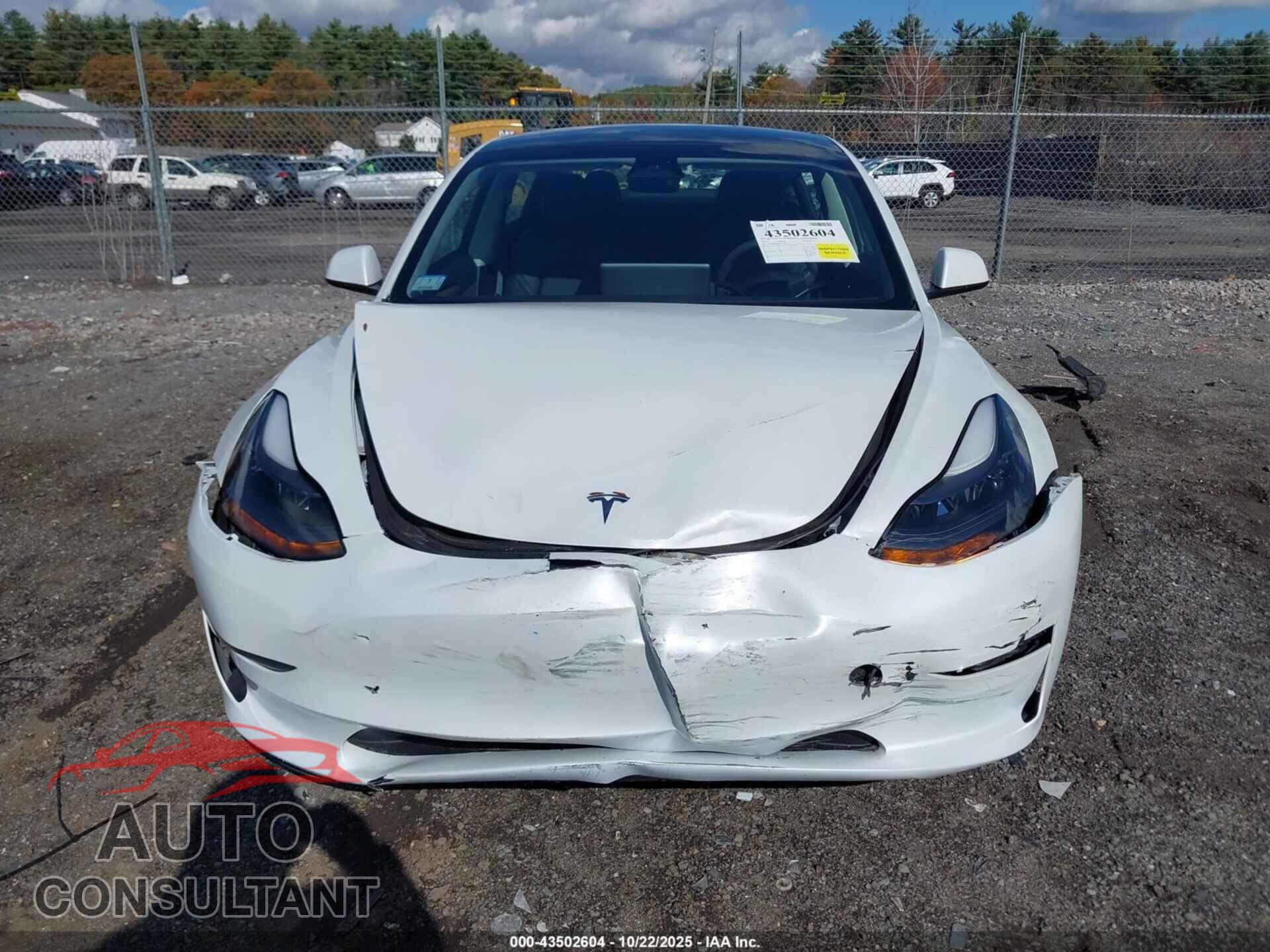 TESLA MODEL 3 2023 - 5YJ3E1EB6PF390709