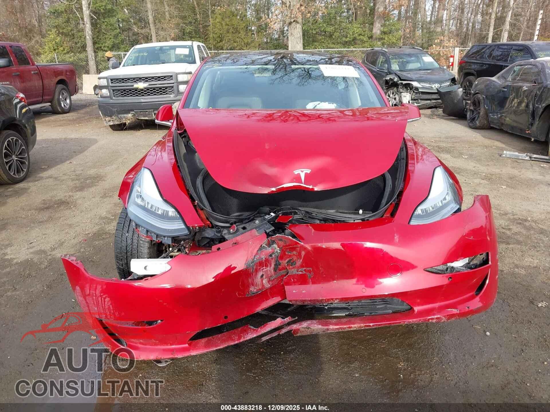 TESLA MODEL 3 2019 - 5YJ3E1EB9KF440785