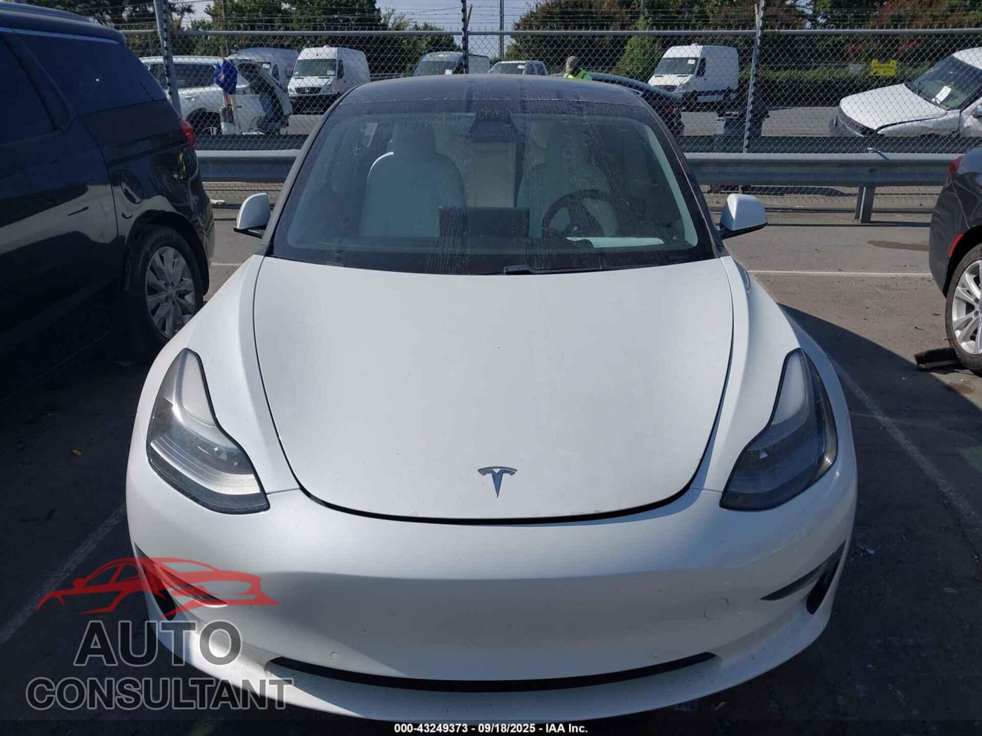 TESLA MODEL 3 2021 - 5YJ3E1EB7MF981367