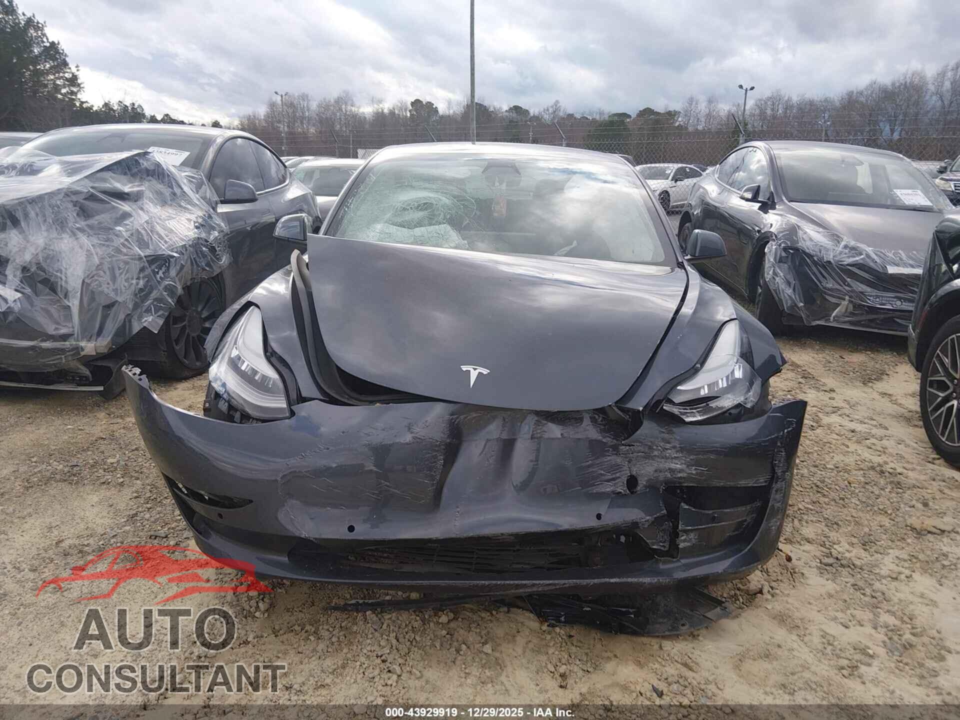 TESLA MODEL 3 2021 - 5YJ3E1EA7MF859373