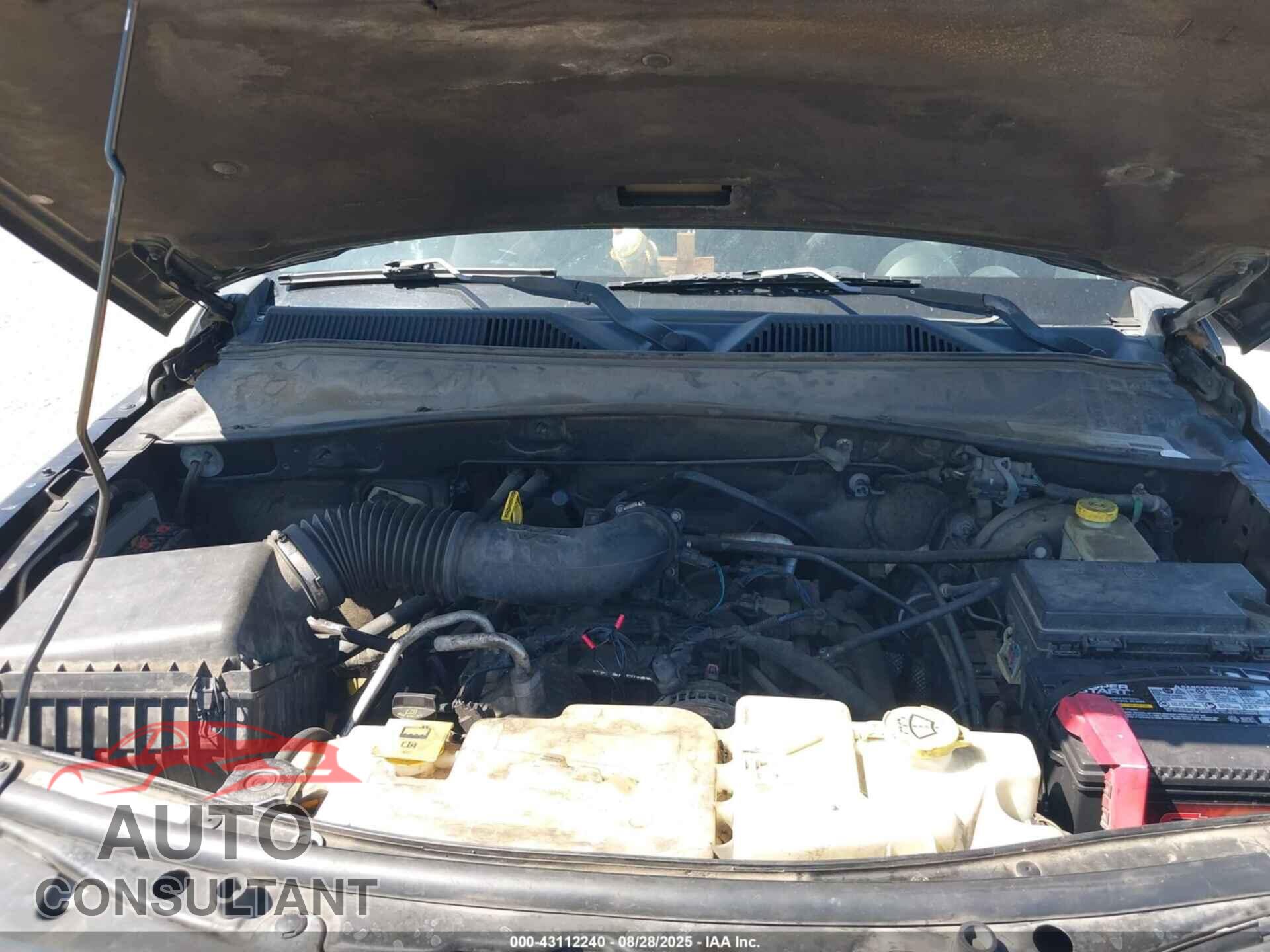 DODGE NITRO 2011 - 1D4PT2GK2BW506909