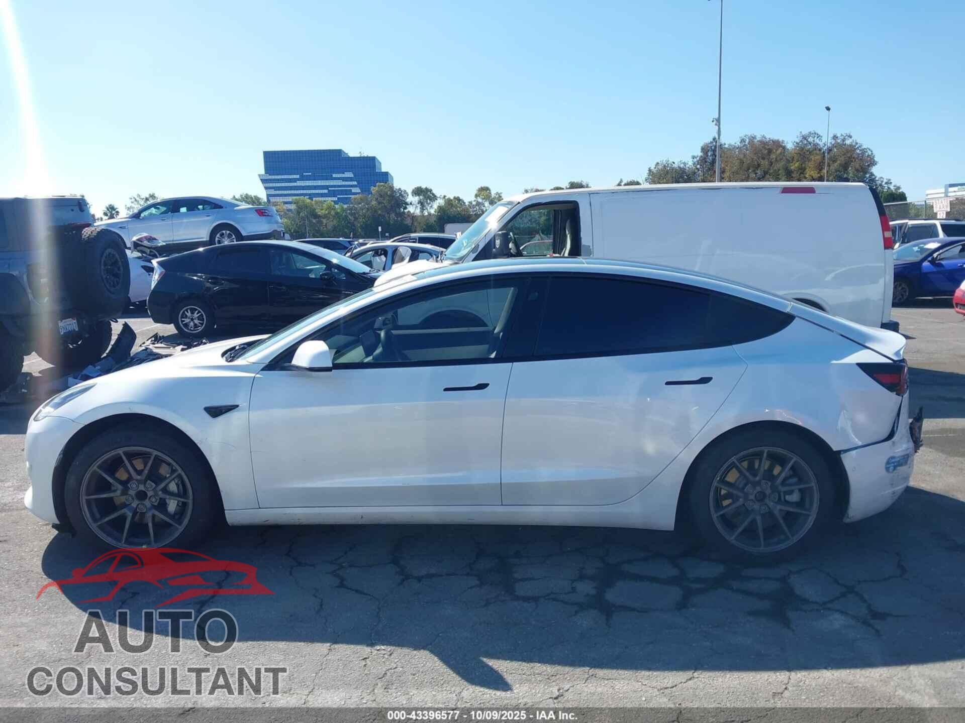 TESLA MODEL 3 2021 - 5YJ3E1EA6MF877864
