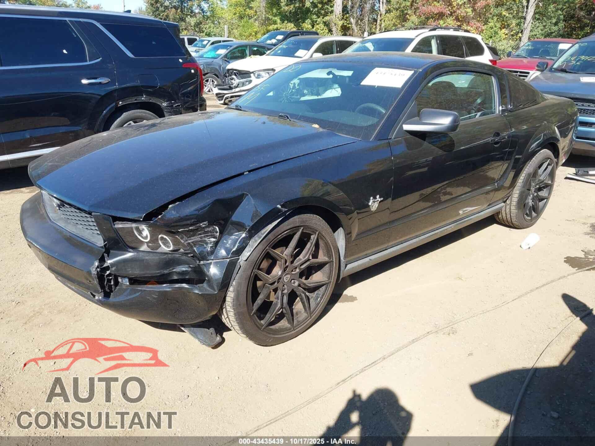 FORD MUSTANG 2009 - 1ZVHT80NX95127548