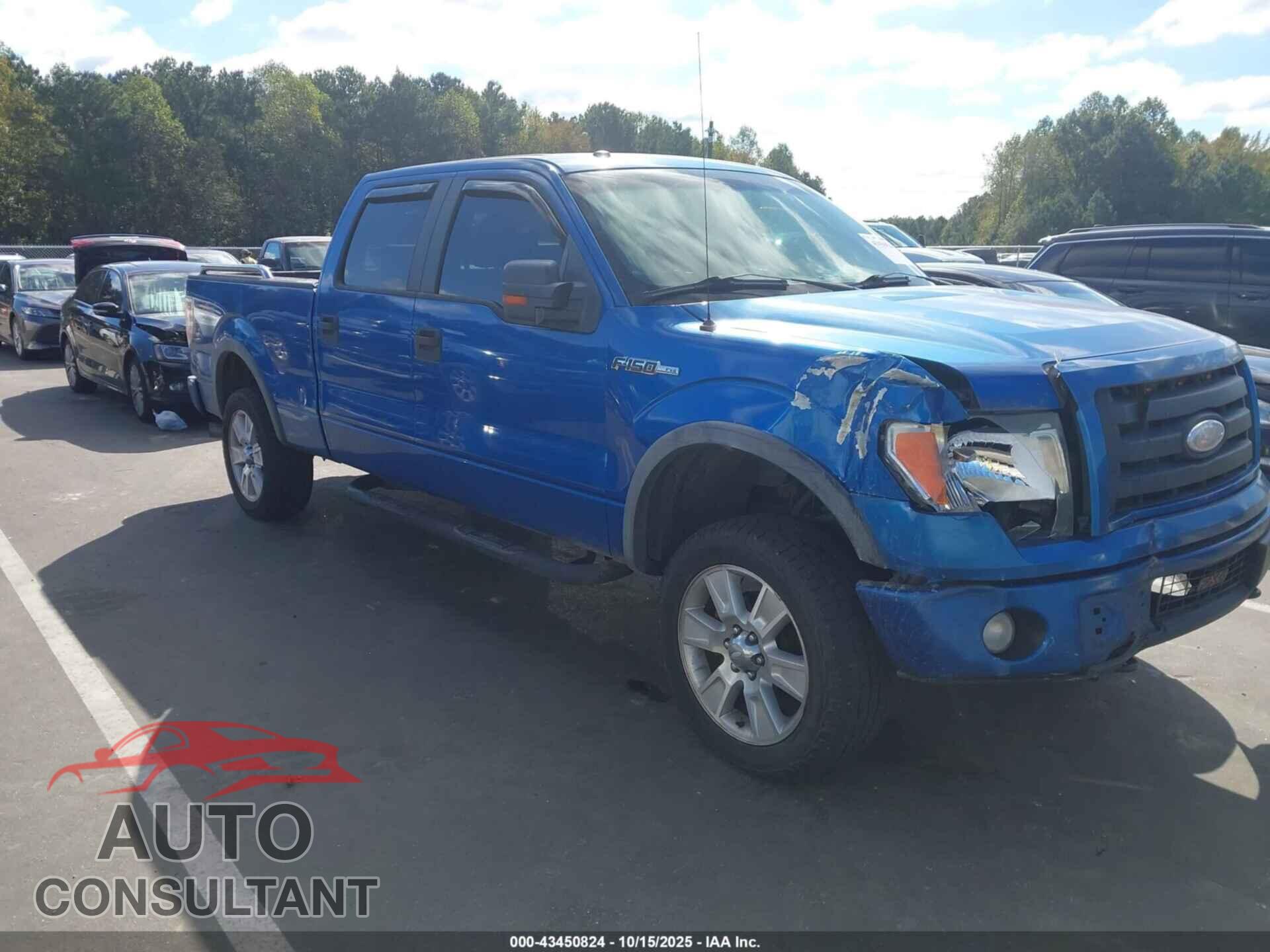 FORD F-150 2009 - 1FTPW14V89FA21326