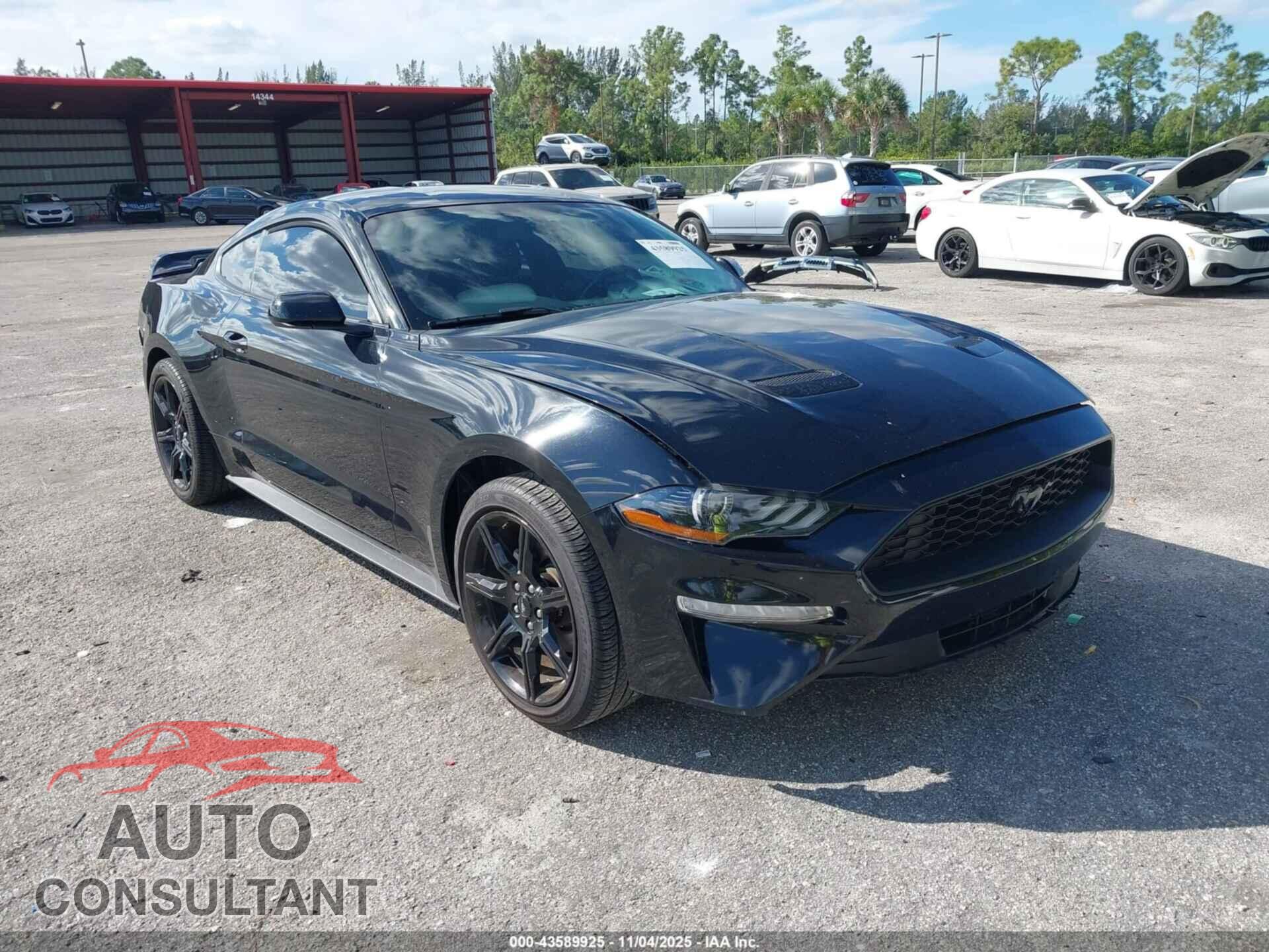 FORD MUSTANG 2019 - 1FA6P8TH5K5129028