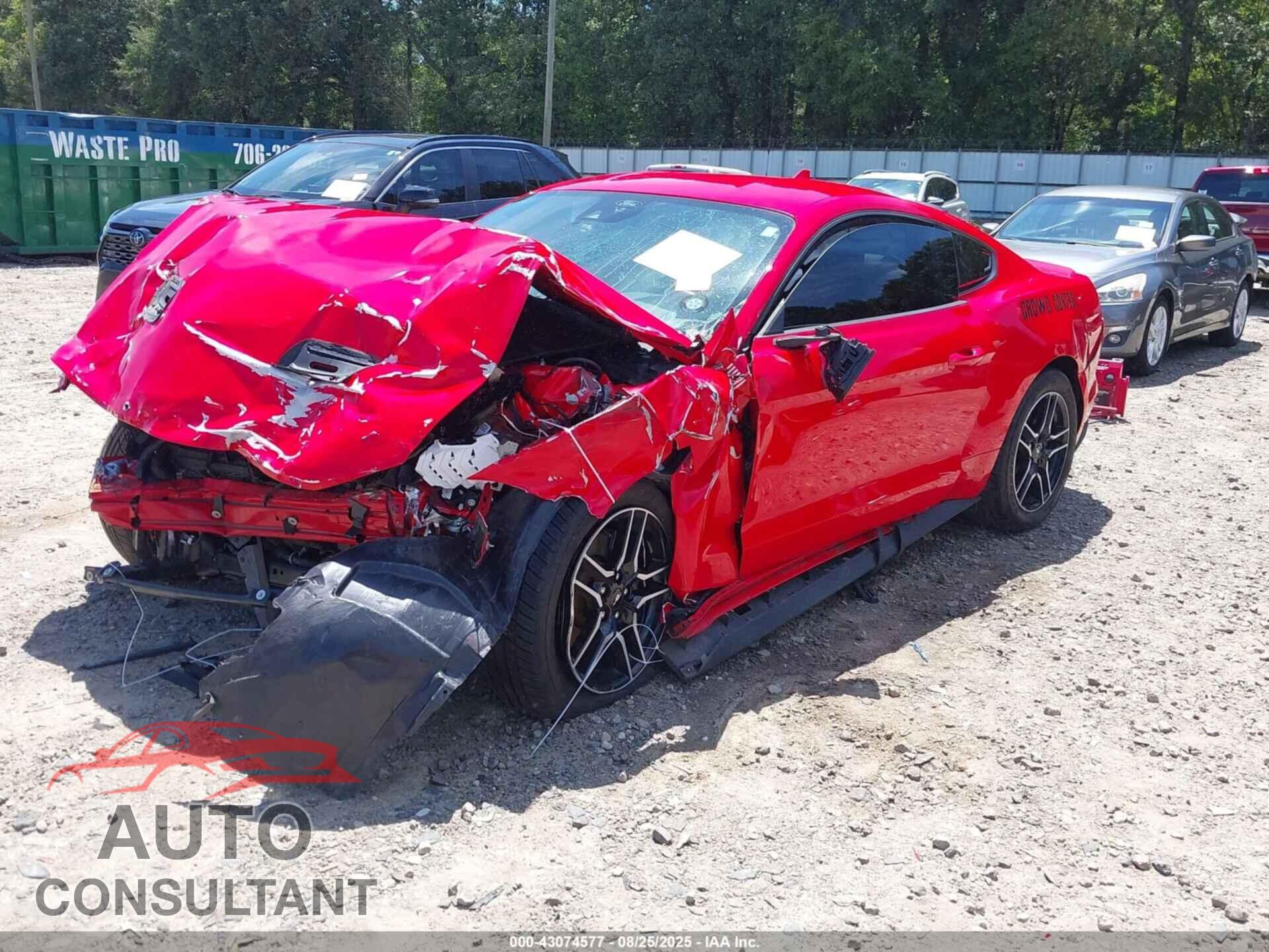 FORD MUSTANG 2023 - 1FA6P8TH4P5105469