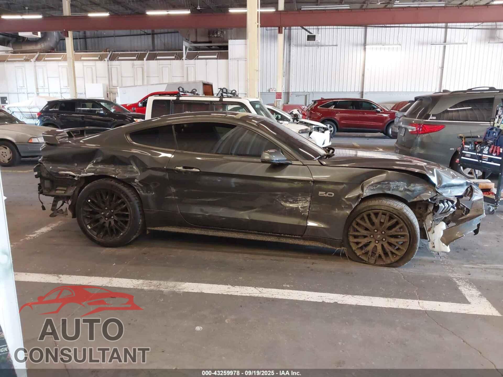 FORD MUSTANG 2020 - 1FA6P8CF9L5121966