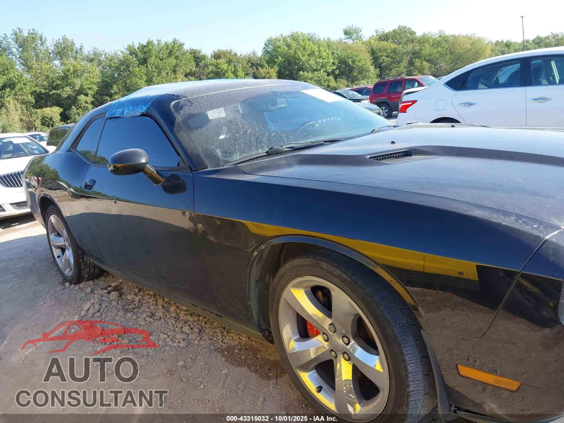DODGE CHALLENGER 2012 - 2C3CDYAG6CH186644