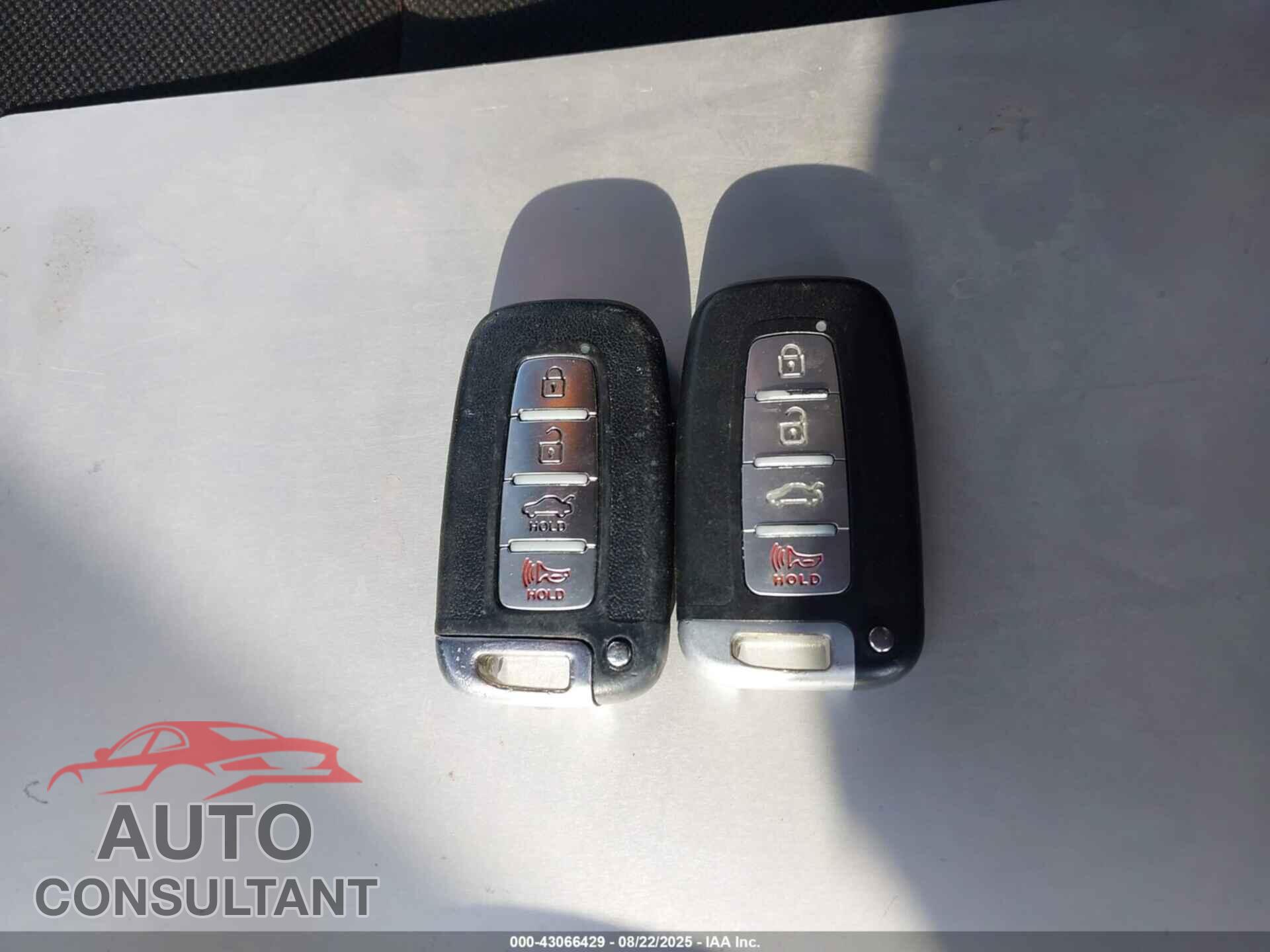 HYUNDAI VELOSTER 2017 - KMHTC6ADXHU320905
