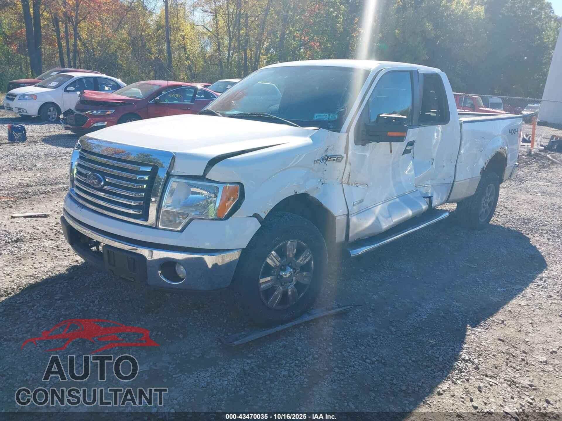 FORD F-150 2012 - 1FTFX1ET6CKE28193