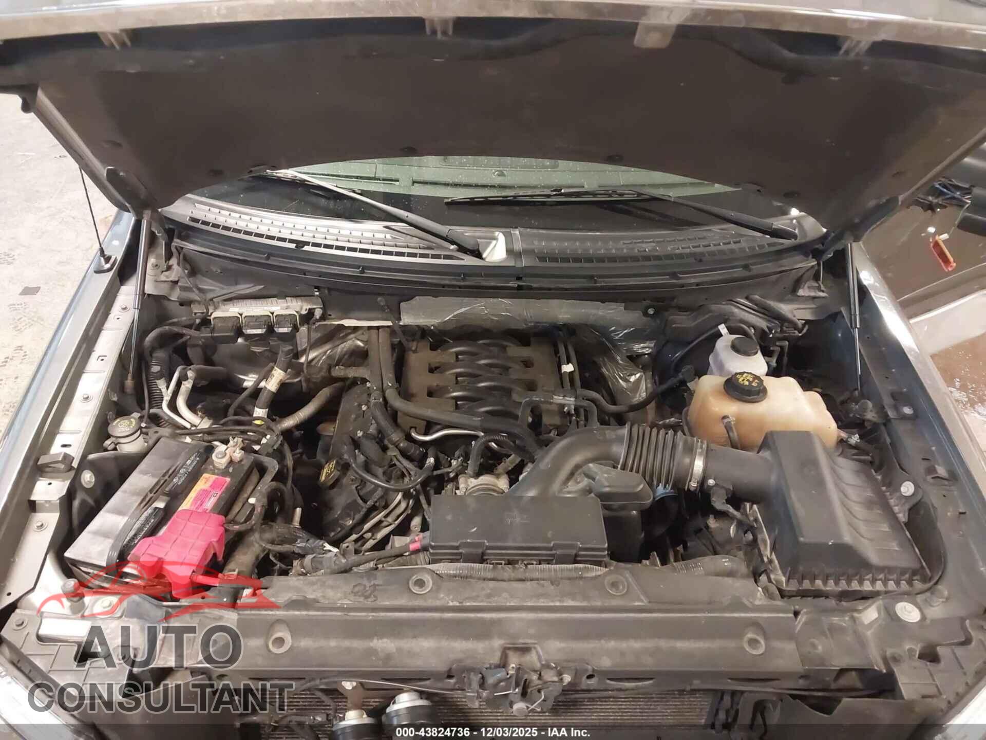 FORD F-150 2011 - 1FTFX1EF8BFA35541