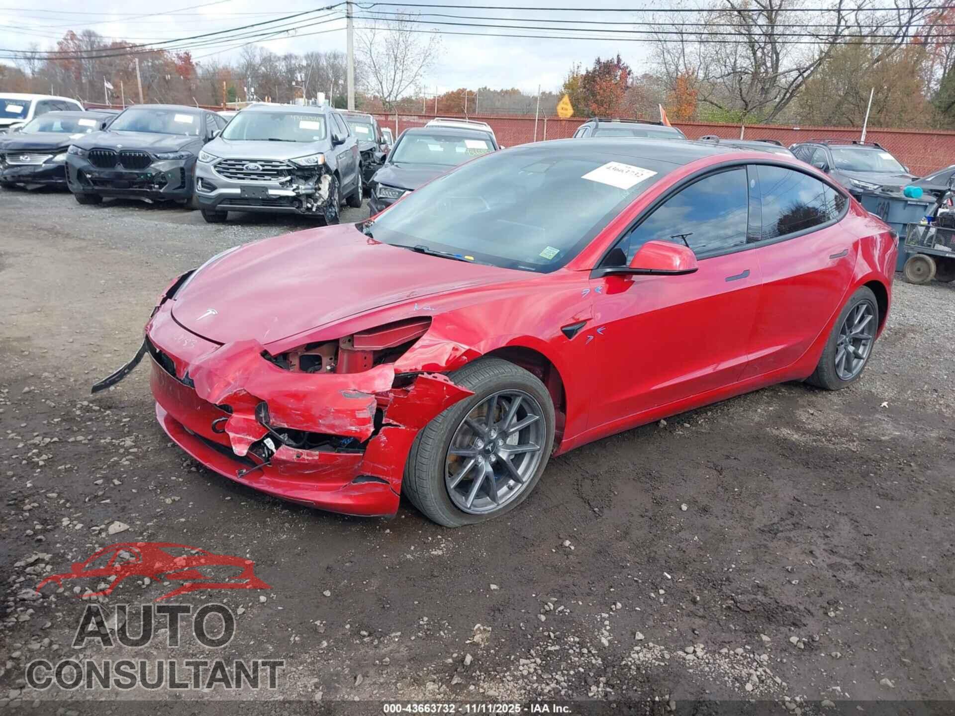 TESLA MODEL 3 2021 - 5YJ3E1EA1MF919356