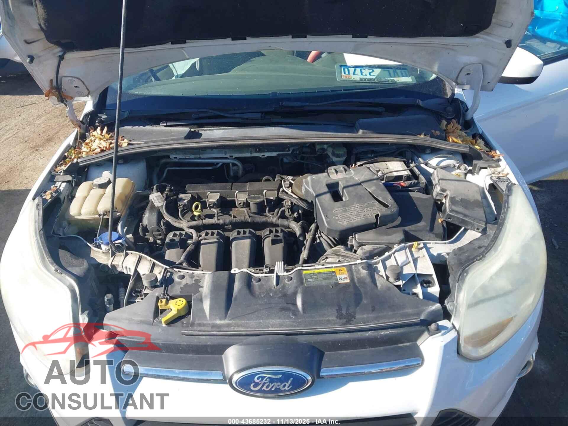 FORD FOCUS 2012 - 1FAHP3F22CL215252