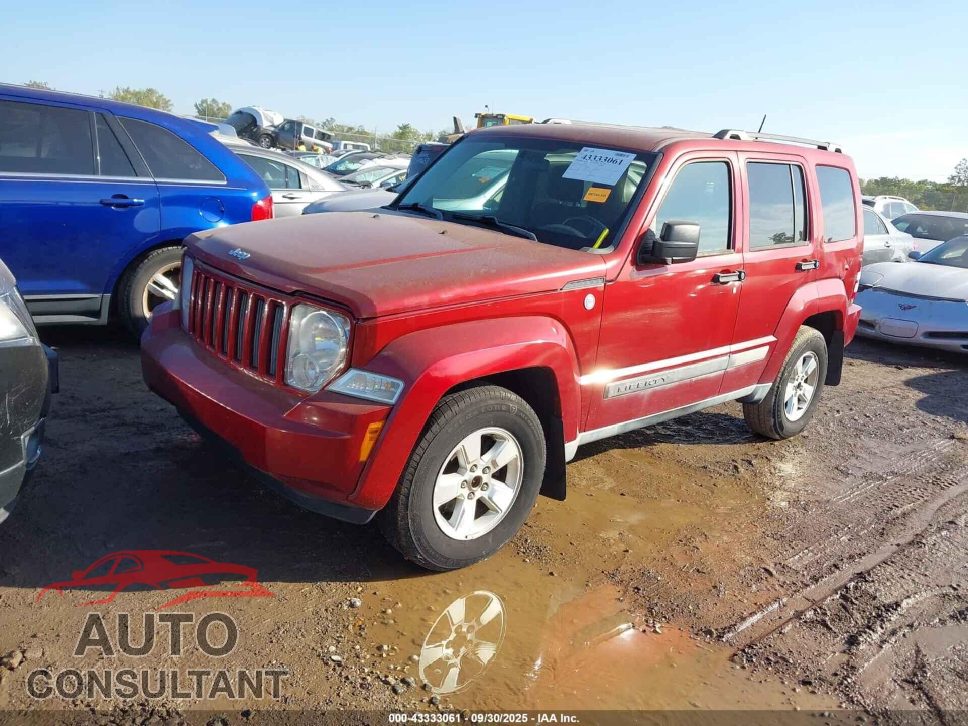 JEEP LIBERTY 2011 - 1J4PN2GK5BW538397
