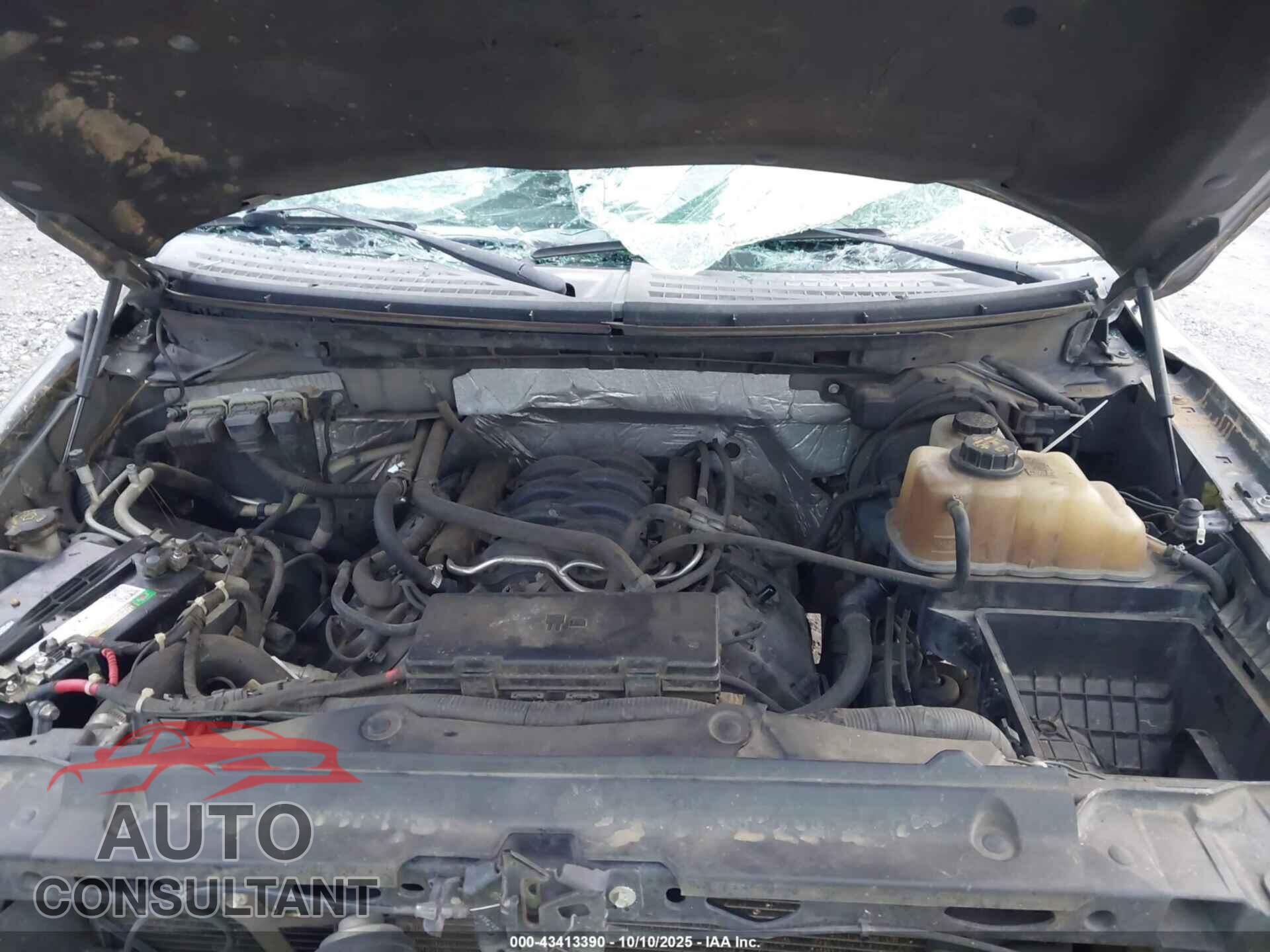 FORD F-150 2013 - 1FTFW1EF5DKD69037