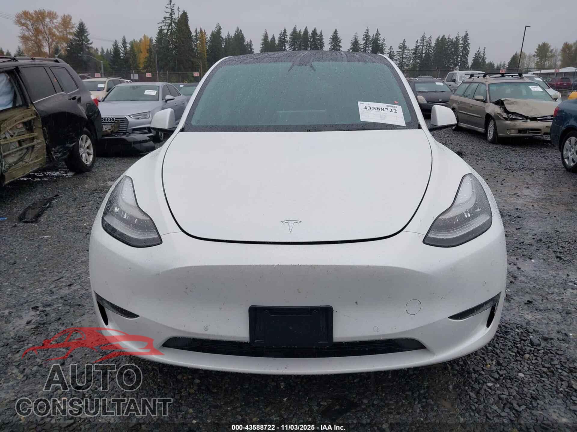 TESLA MODEL Y 2020 - 5YJYGDEEXLF055748