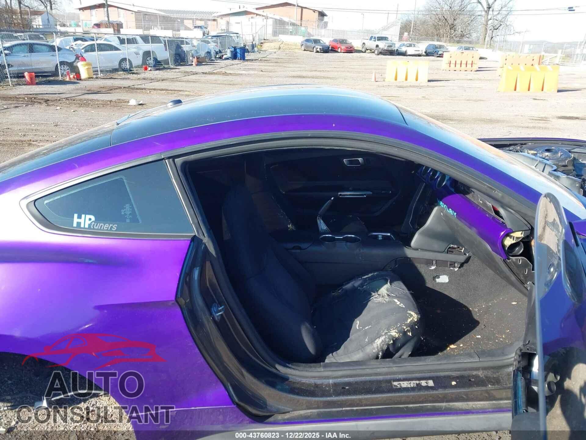 FORD MUSTANG 2019 - 1FA6P8CF1K5176443