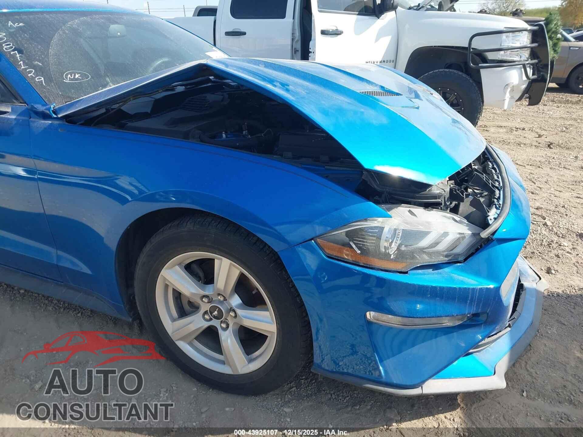FORD MUSTANG 2019 - 1FA6P8TH3K5201974