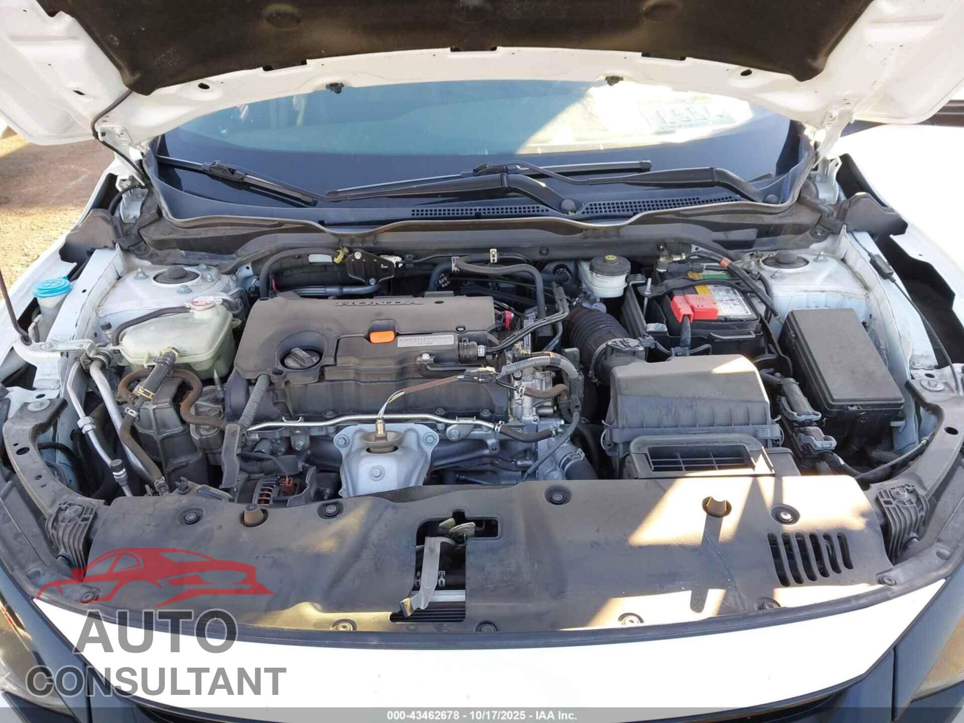 HONDA CIVIC 2020 - 2HGFC2F81LH586543