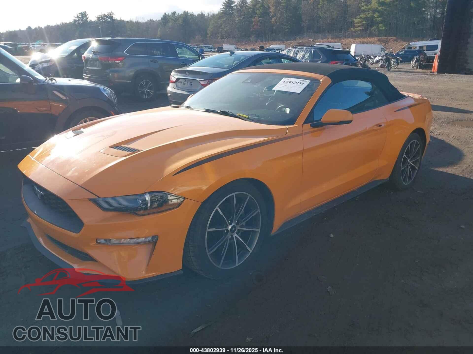 FORD MUSTANG 2019 - 1FATP8UH9K5150126