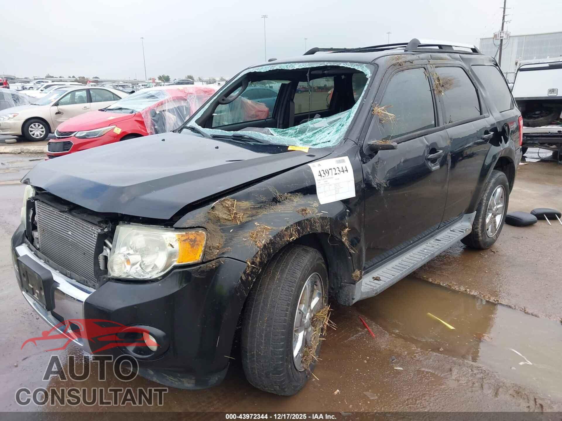 FORD ESCAPE 2010 - 1FMCU0EG7AKD10896