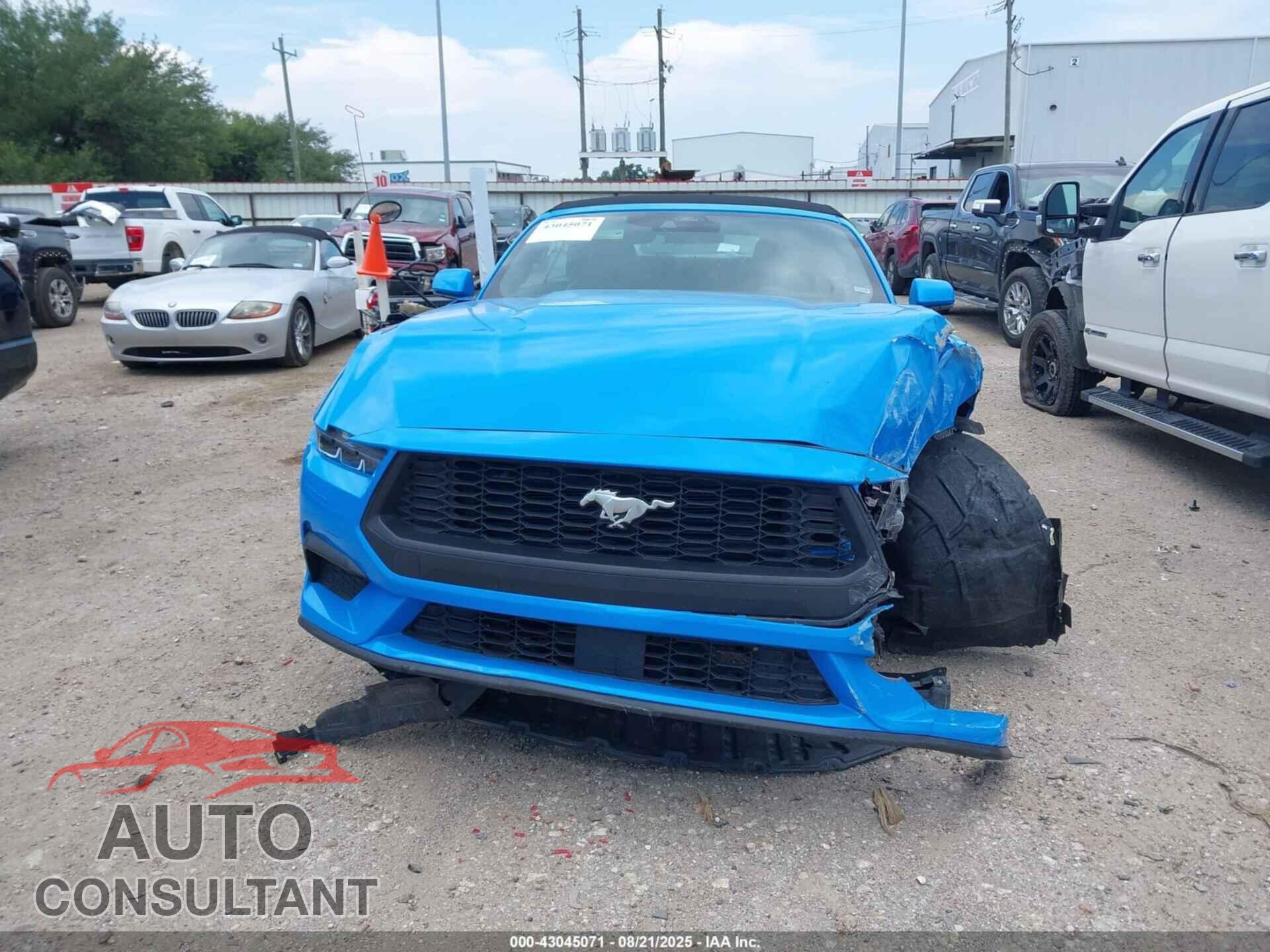 FORD MUSTANG 2024 - 1FAGP8UH3R5139960