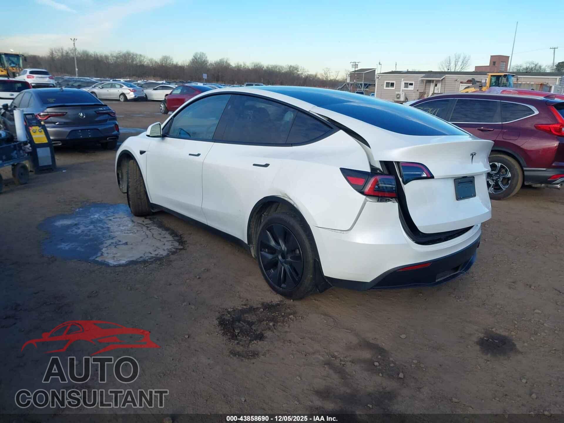 TESLA MODEL Y 2024 - 7SAYGDED2RF160531