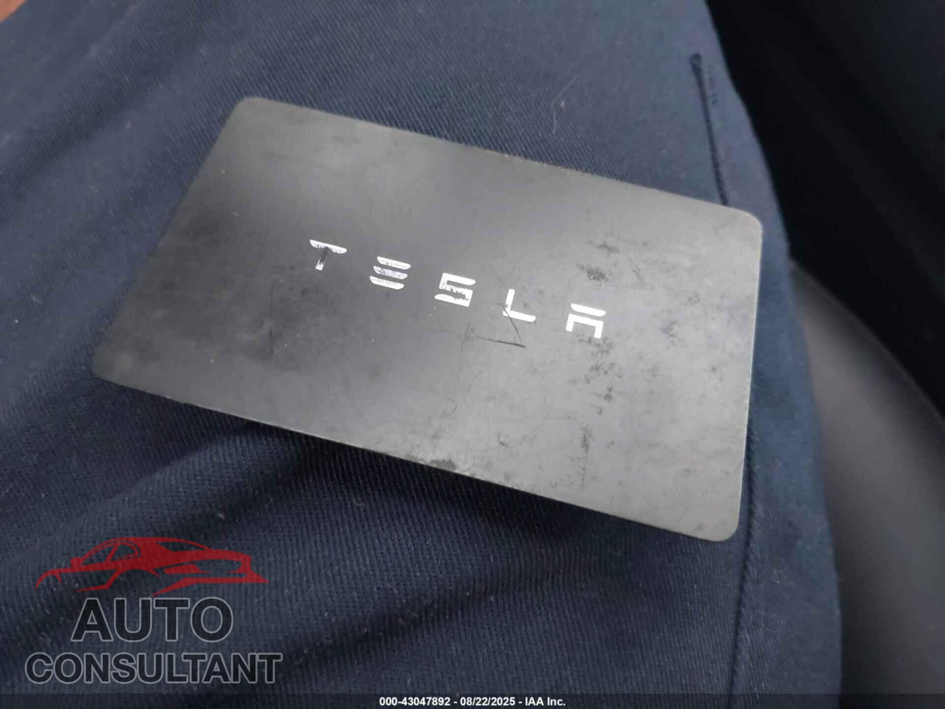TESLA MODEL Y 2024 - 7SAYGDEE1RF988367