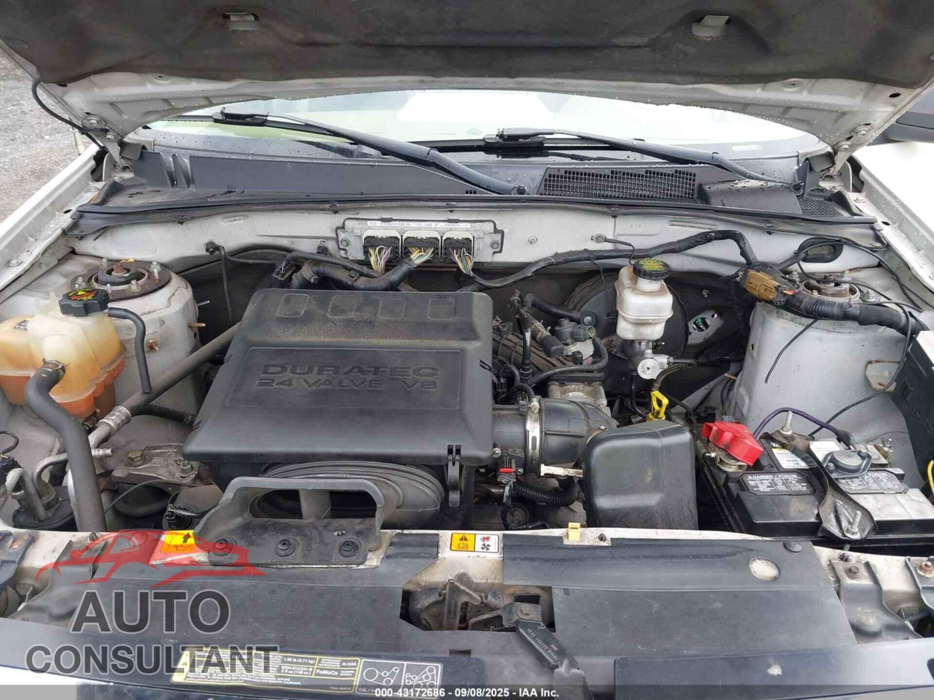 FORD ESCAPE 2012 - 1FMCU9DG8CKA54275