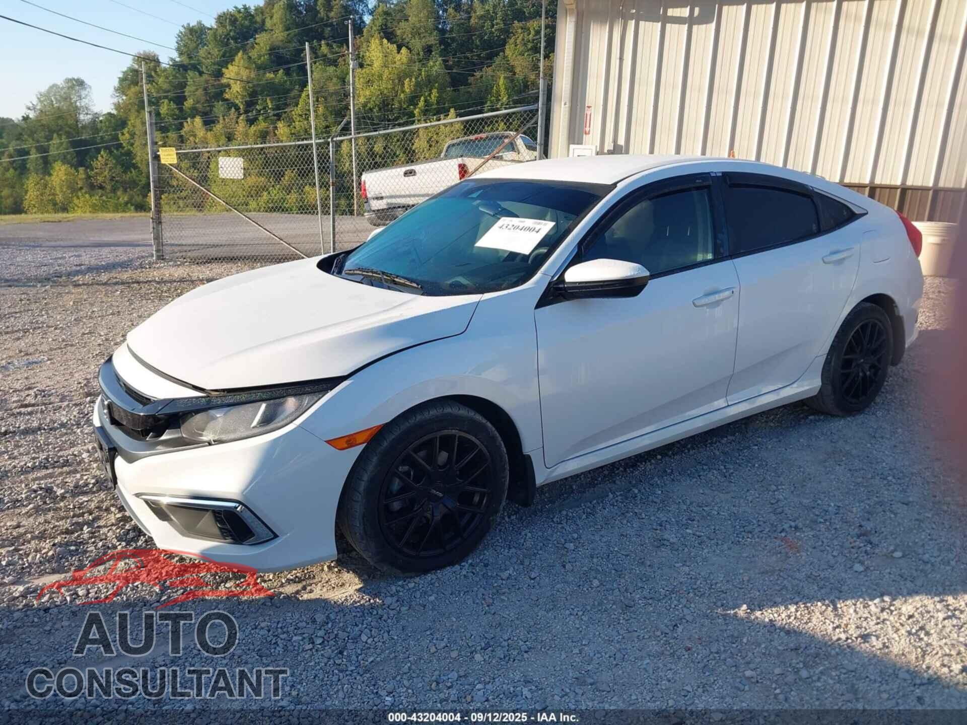 HONDA CIVIC 2019 - 2HGFC2F62KH560854