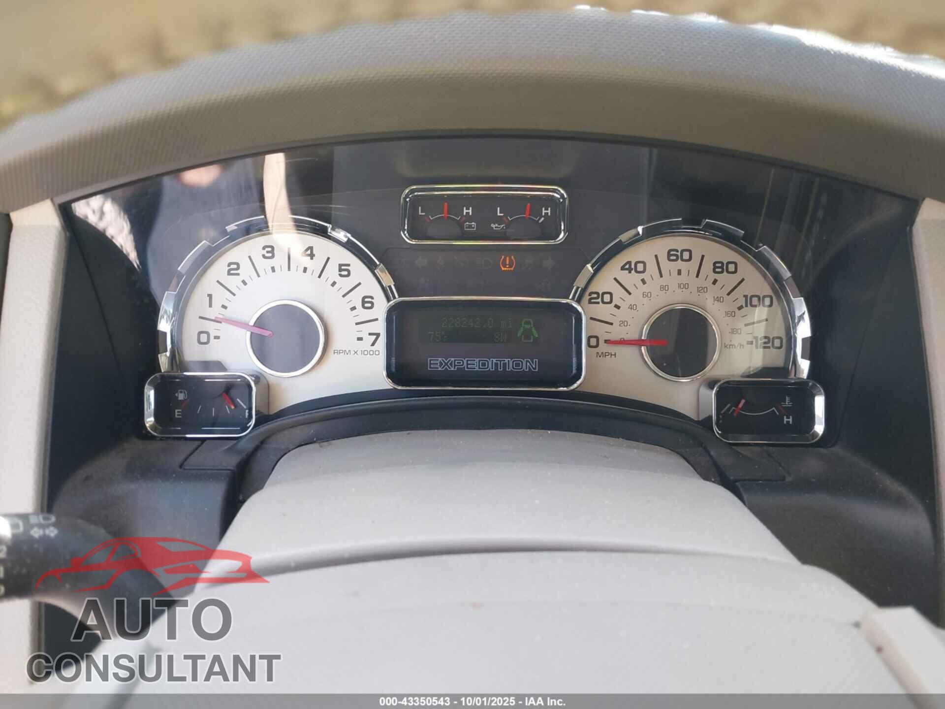 FORD EXPEDITION 2009 - 1FMFU16579EA71103