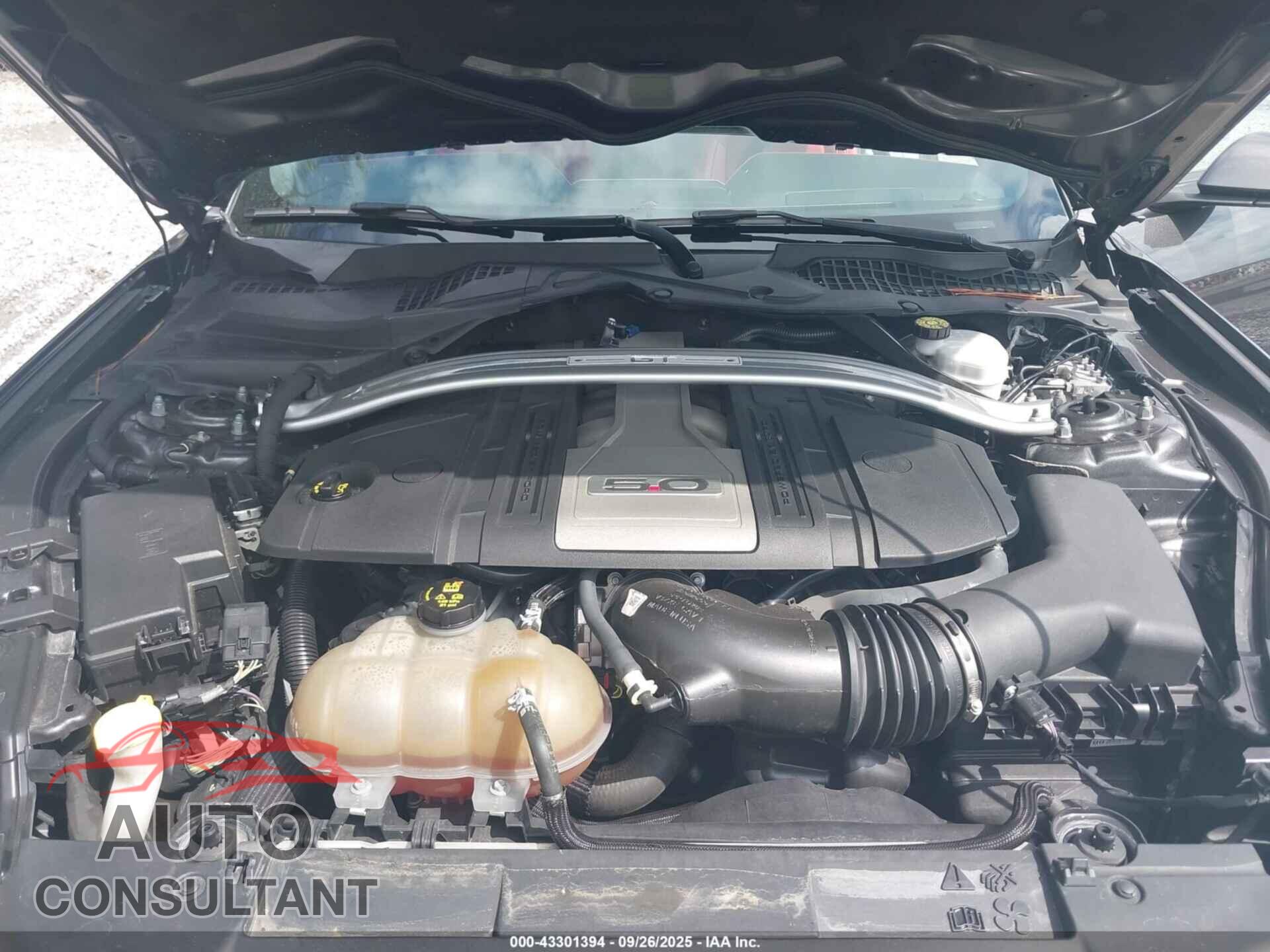 FORD MUSTANG 2019 - 1FA6P8CF6K5113080