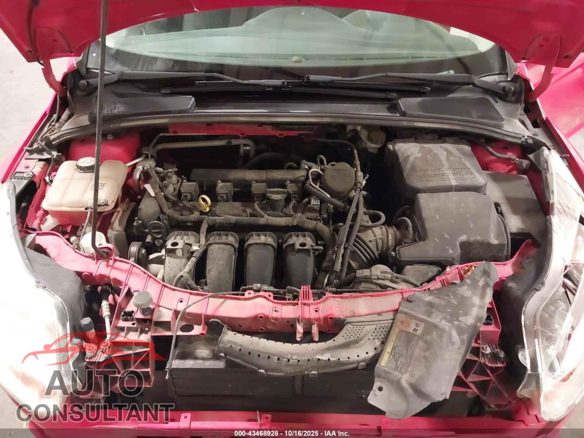 FORD FOCUS 2012 - 1FAHP3F21CL378975