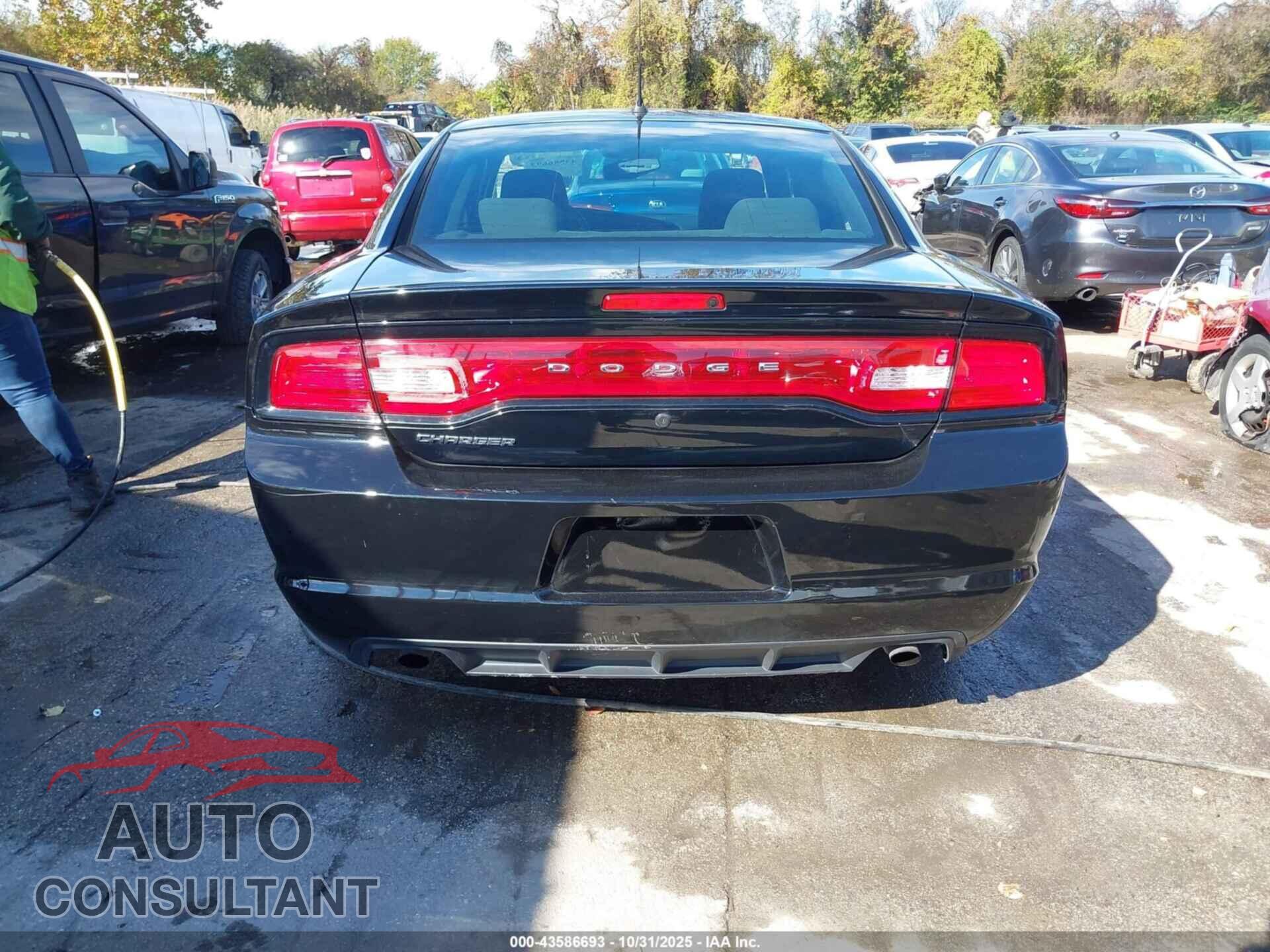 DODGE CHARGER 2014 - 2C3CDXAT2EH172007