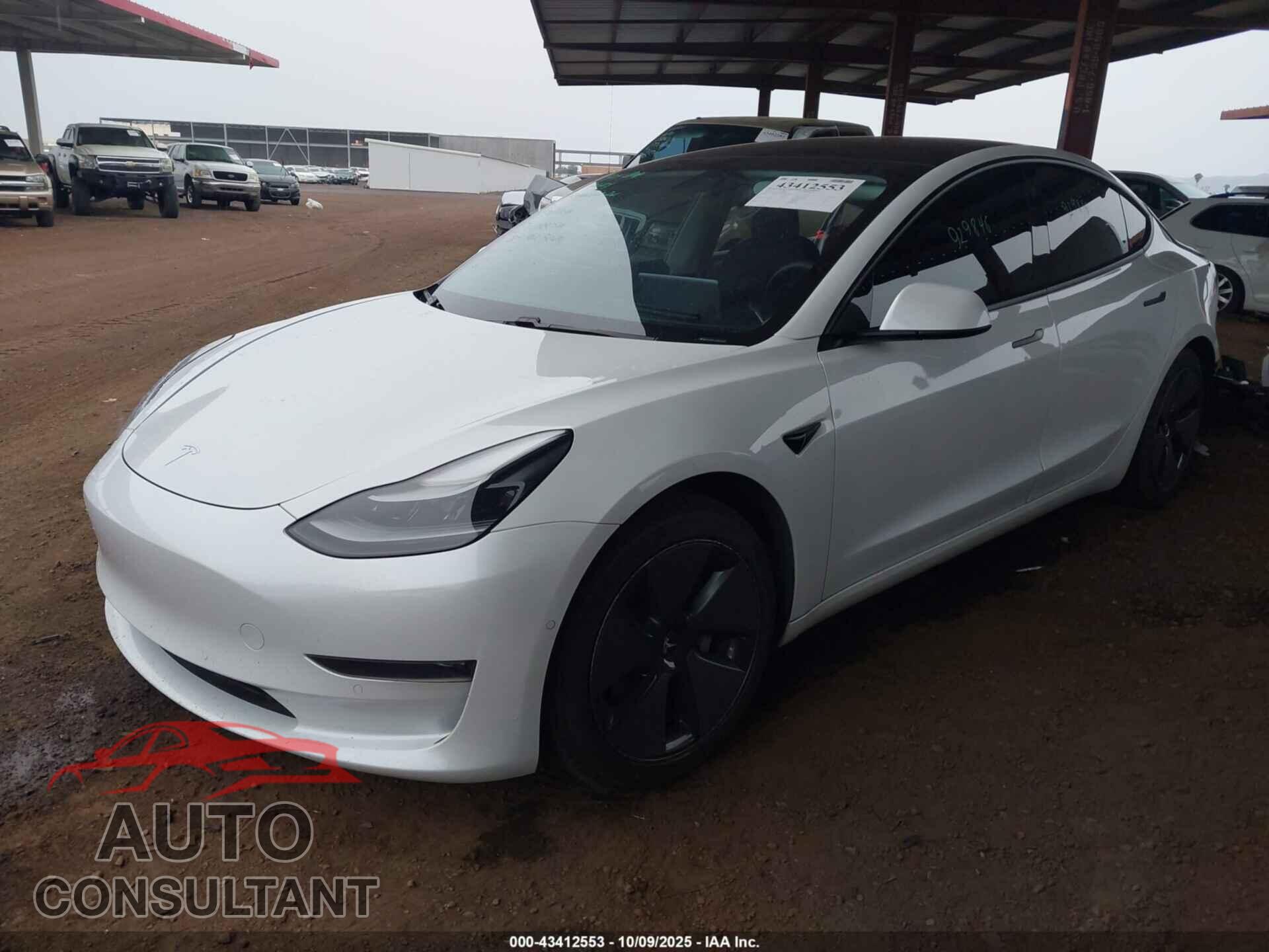 TESLA MODEL 3 2021 - 5YJ3E1EA2MF929846