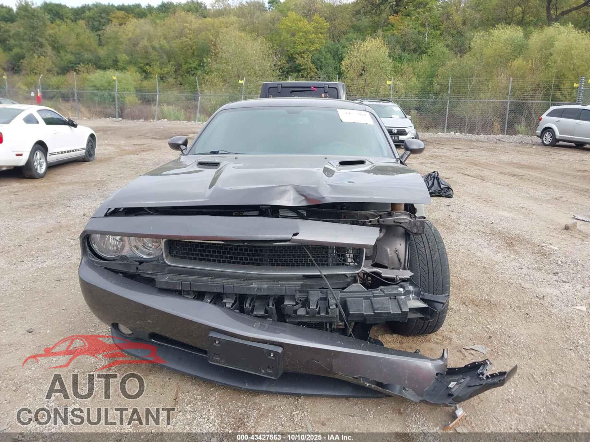 DODGE CHALLENGER 2014 - 2C3CDYBT9EH183963