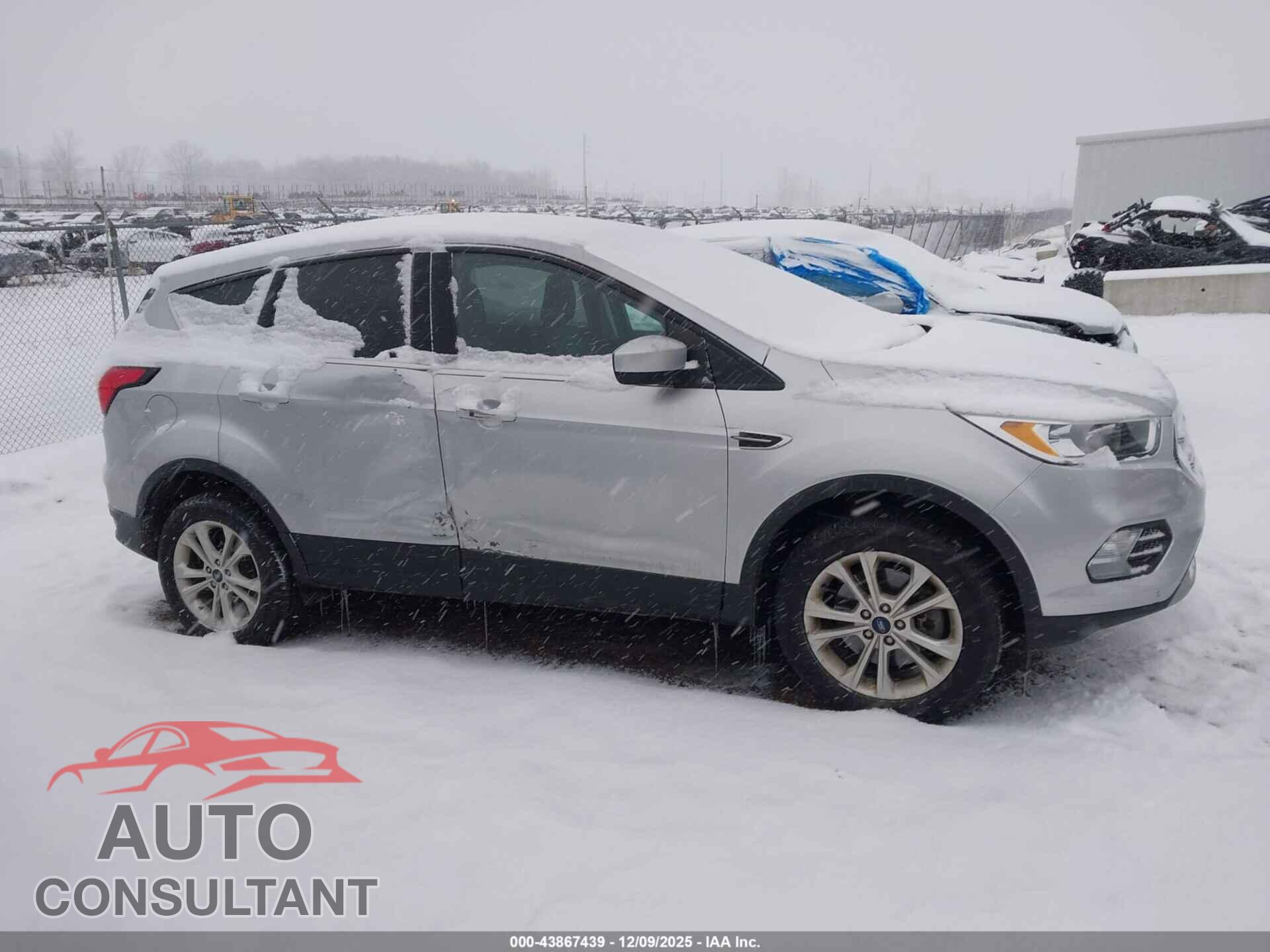 FORD ESCAPE 2019 - 1FMCU9GD3KUC51391