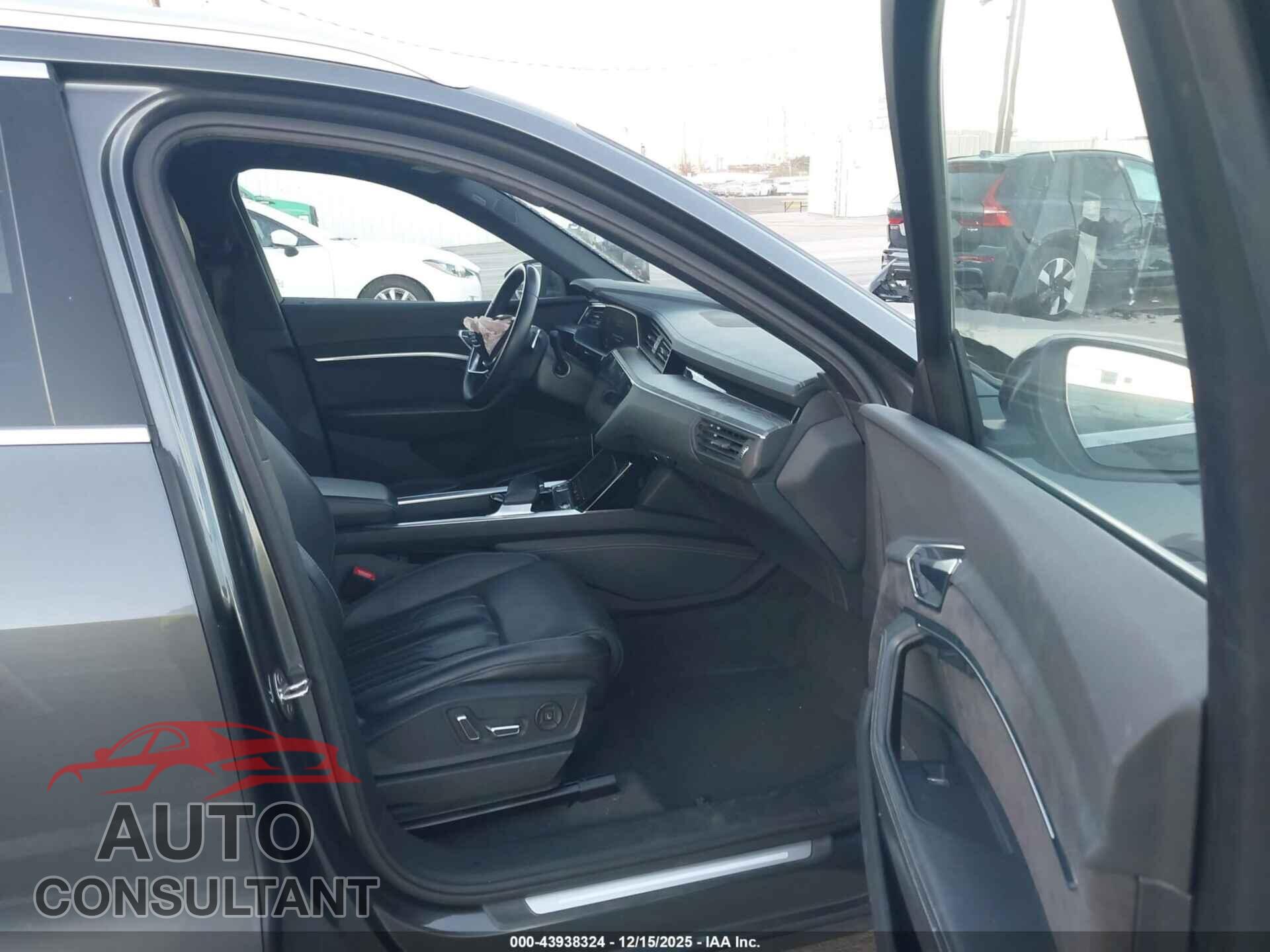 AUDI E-TRON 2019 - WA1VAAGE9KB006505
