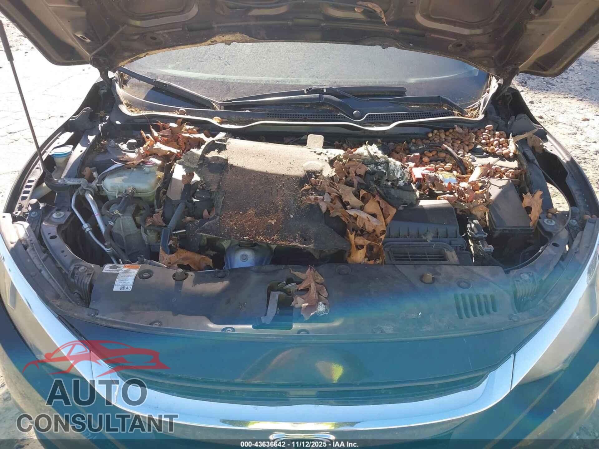 HONDA CIVIC 2018 - 19XFC2F7XJE036336