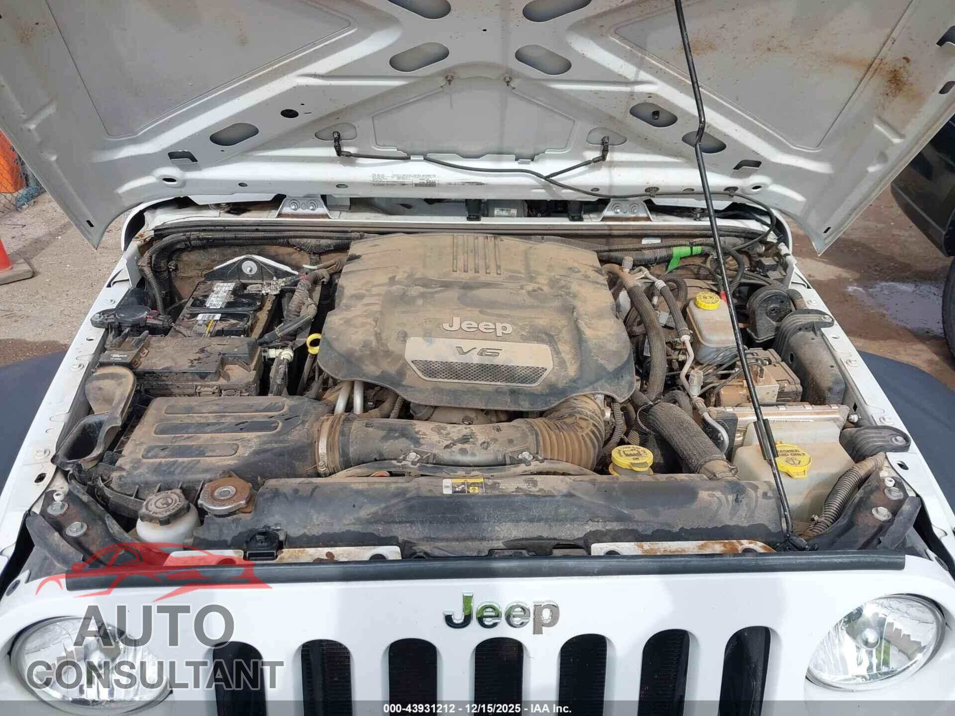 JEEP WRANGLER UNLIMITED 2017 - 1C4BJWDG3HL648037
