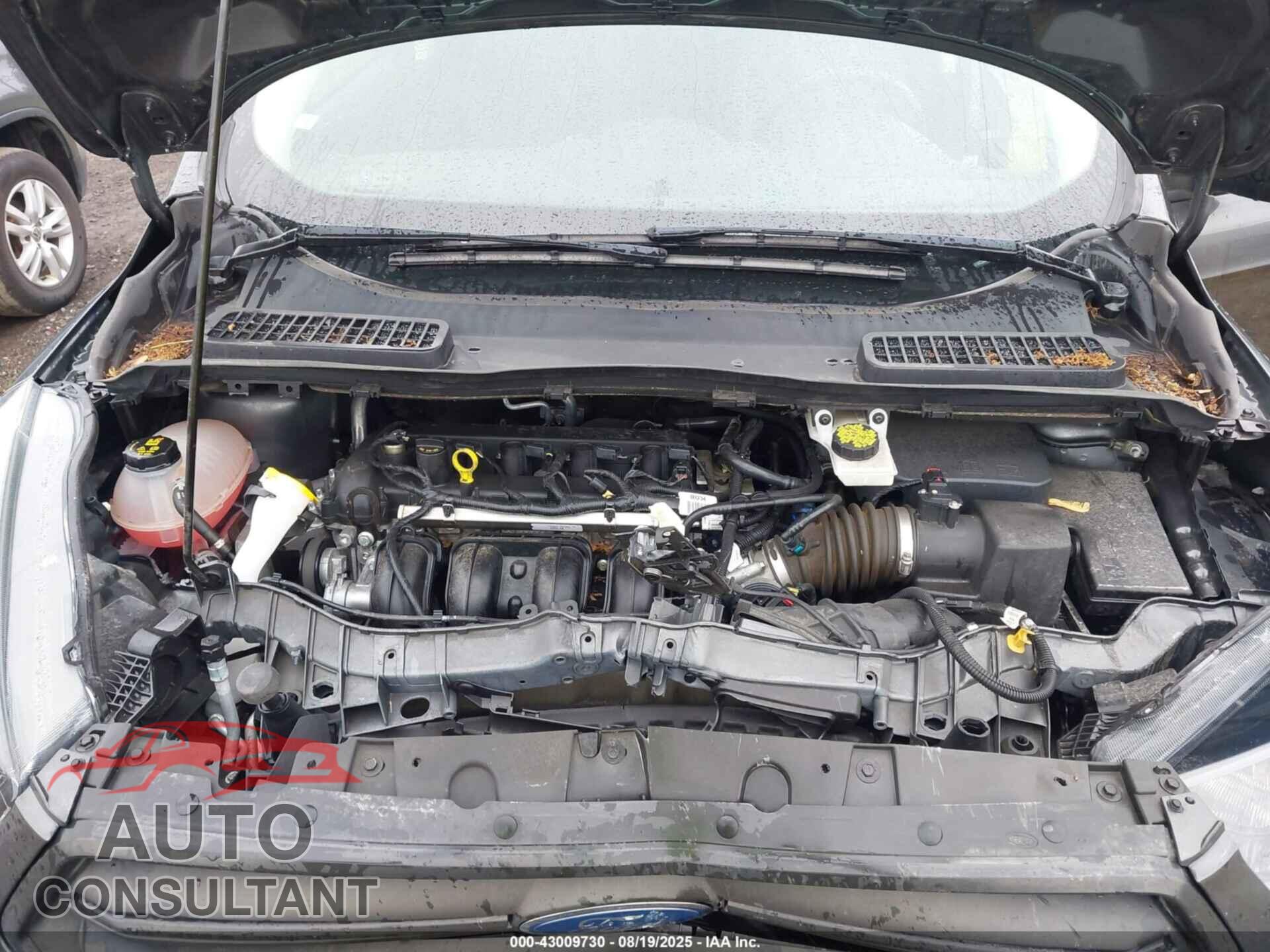 FORD ESCAPE 2019 - 1FMCU0F78KUC27319