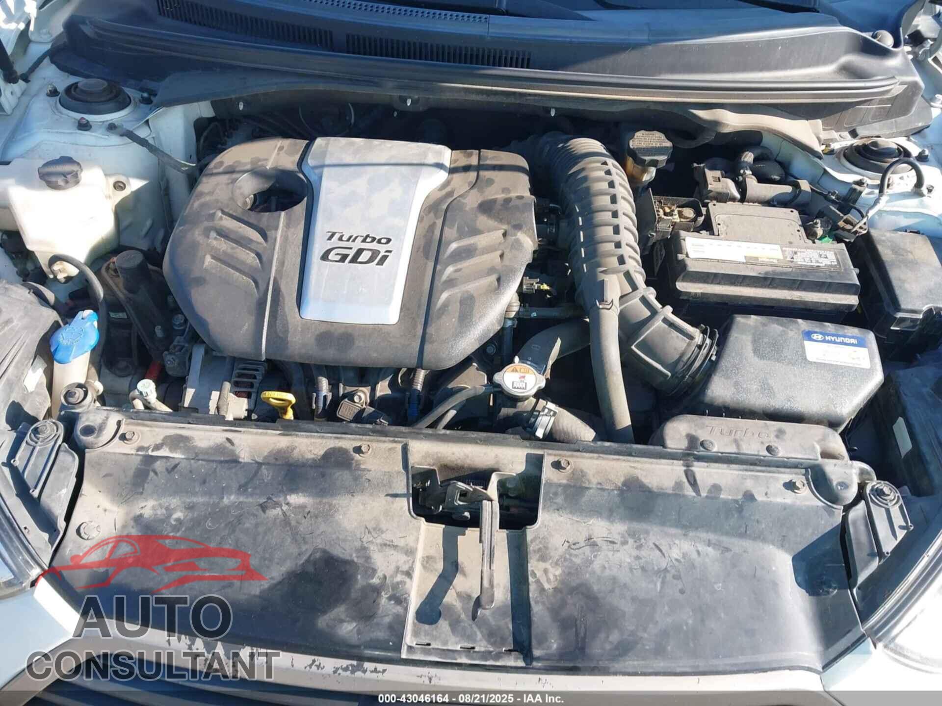 HYUNDAI VELOSTER 2016 - KMHTC6AE8GU266527